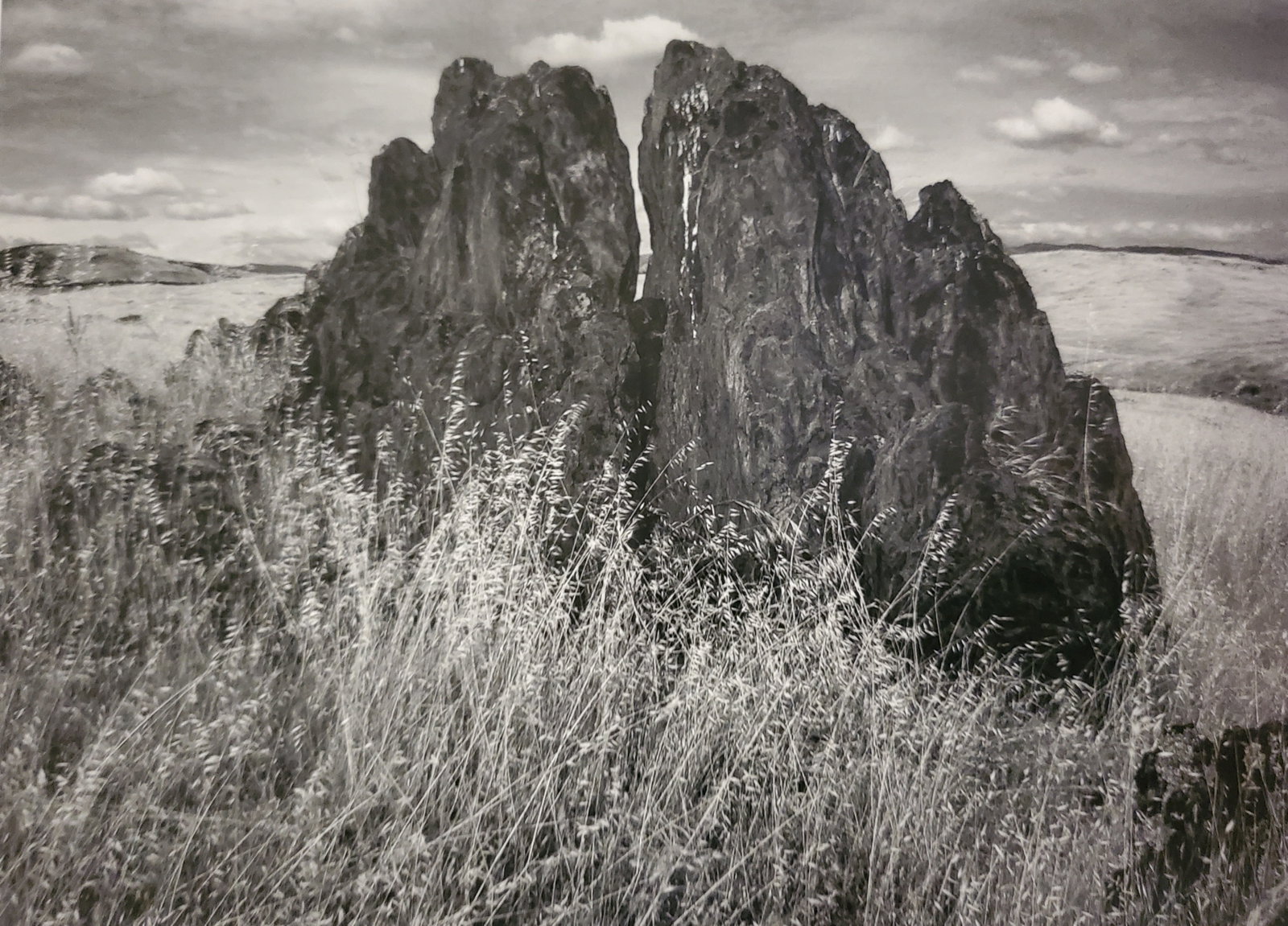 Ansel Adams, Metamorphic Rock and Summer Grass, Foothills, Sierra Nevada, California 1945: Photographer: Ansel Adams (American, 1902 - 1984) - Internationally renowned American photographer. One of the most influential artists in photographic history. Title: "Metamorphic Rock and Summer Gra