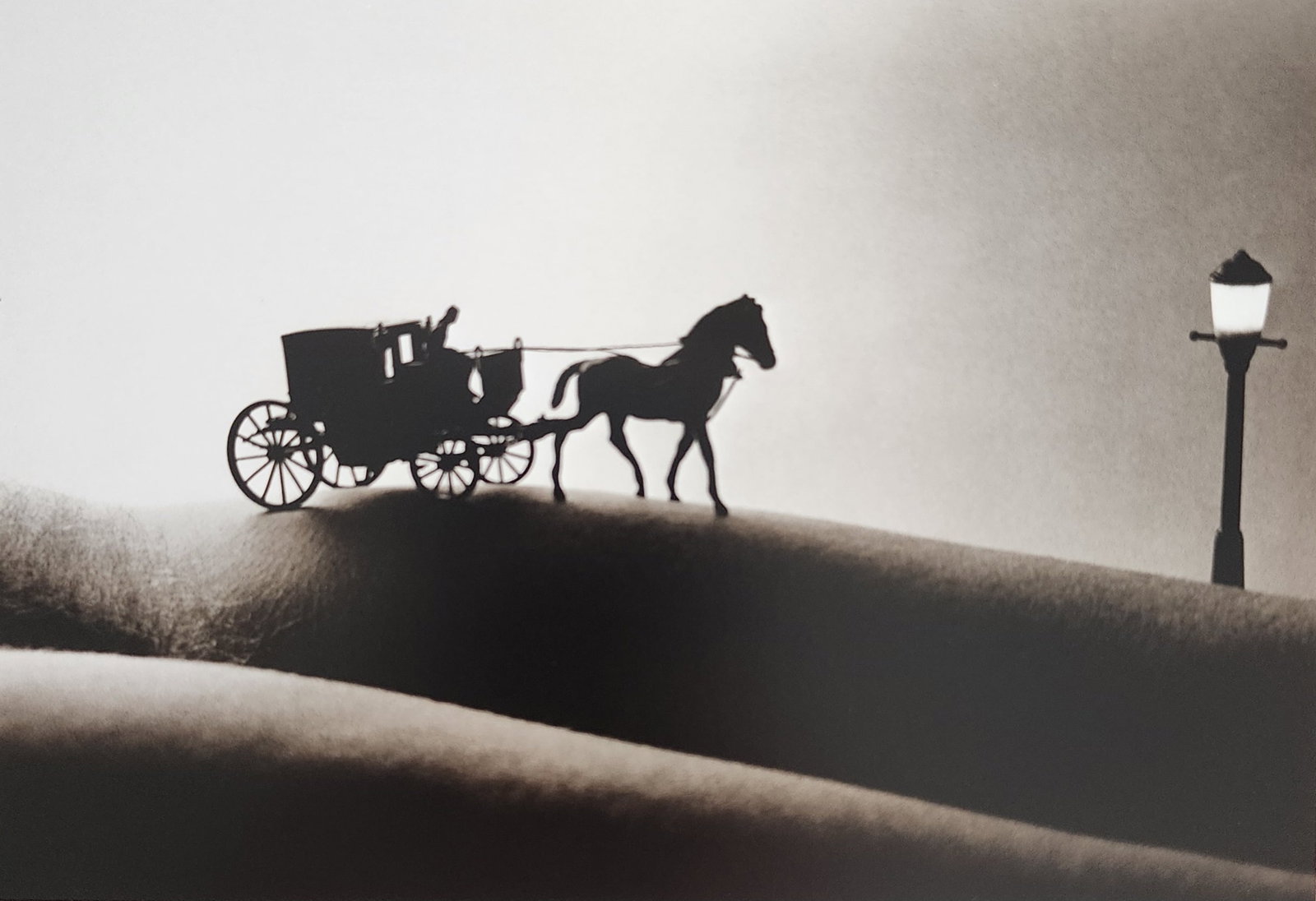 Allan Teger 'Bodyscapes I' 1995: Artist/Photographer: Allan I. Teger Title/Subject: Bodyscapes Type Of Print: Authentic Sheet Fed Photogravure/Heliogravure. Date Of Print: 2012 Paper: Medium weight, satin/matte finish. Print Origin: 