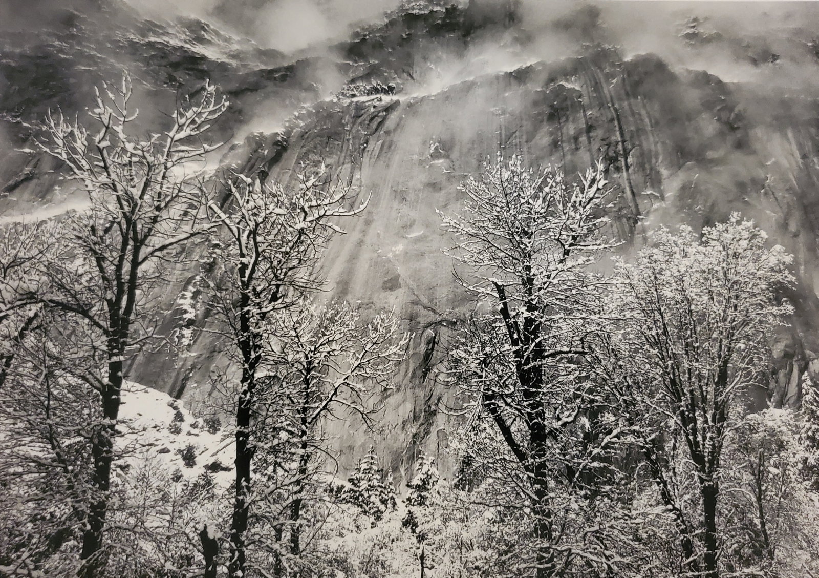 Ansel Adams, Trees and Cliffs of Eagle Park, Winter, Yosemite National Park, California, C. 1935: Photographer: Ansel Adams (American, 1902 - 1984) - Internationally renowned American photographer. One of the most influential artists in photographic history. Title: "Trees and Cliffs of Eagle Park,
