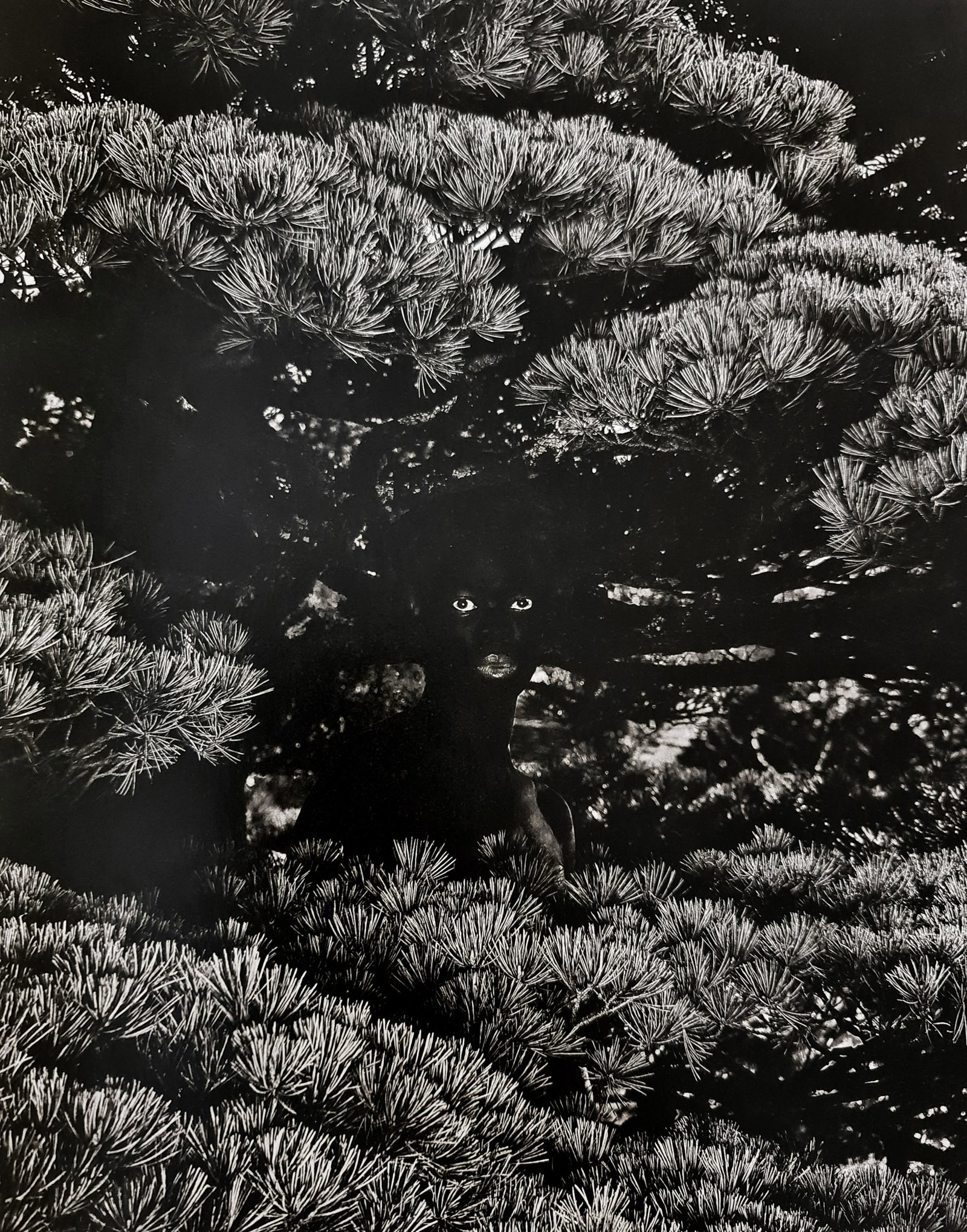 Zanele Muholi, ZaBo II, Kyoto, 2017: Photographer: Zanele Muholi was born in 1972. She is a South African photographer and filmmaker. Title: ZaBo II, Kyoto, 2017, 9.5 x 12 Date Of Negative: 2017 Type Of Print: Authentic Vintage Sheet Fed