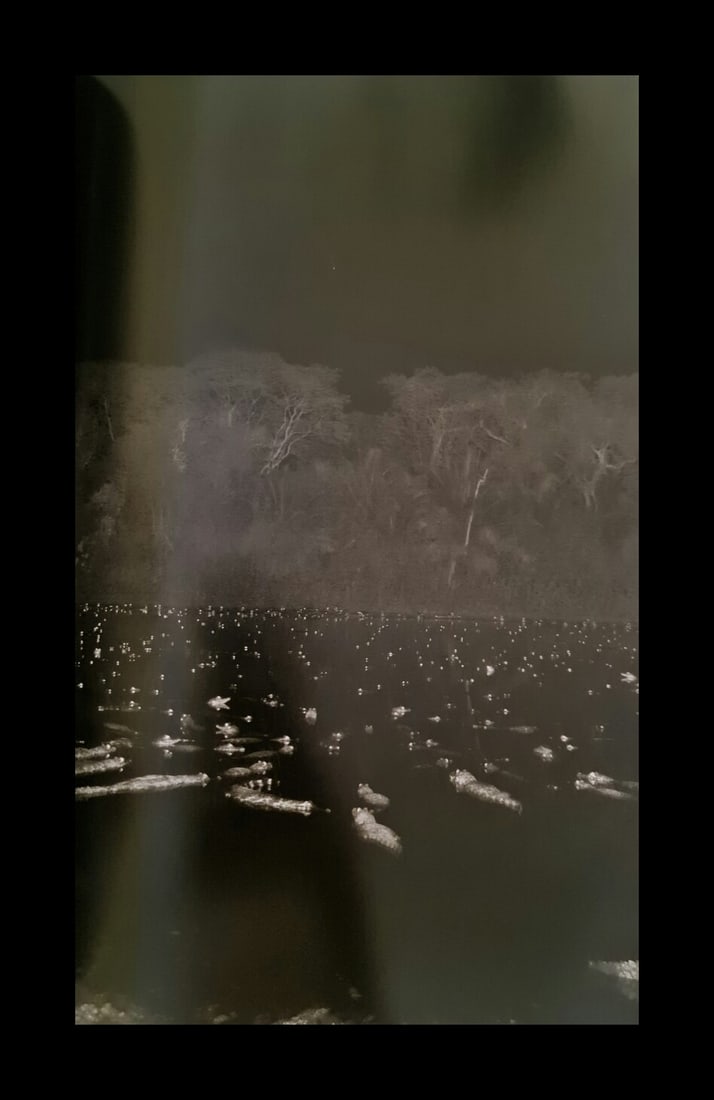 Sebastian Salgado, Caimans at the Pantanal, Brazil, 2009 (1 of 1)