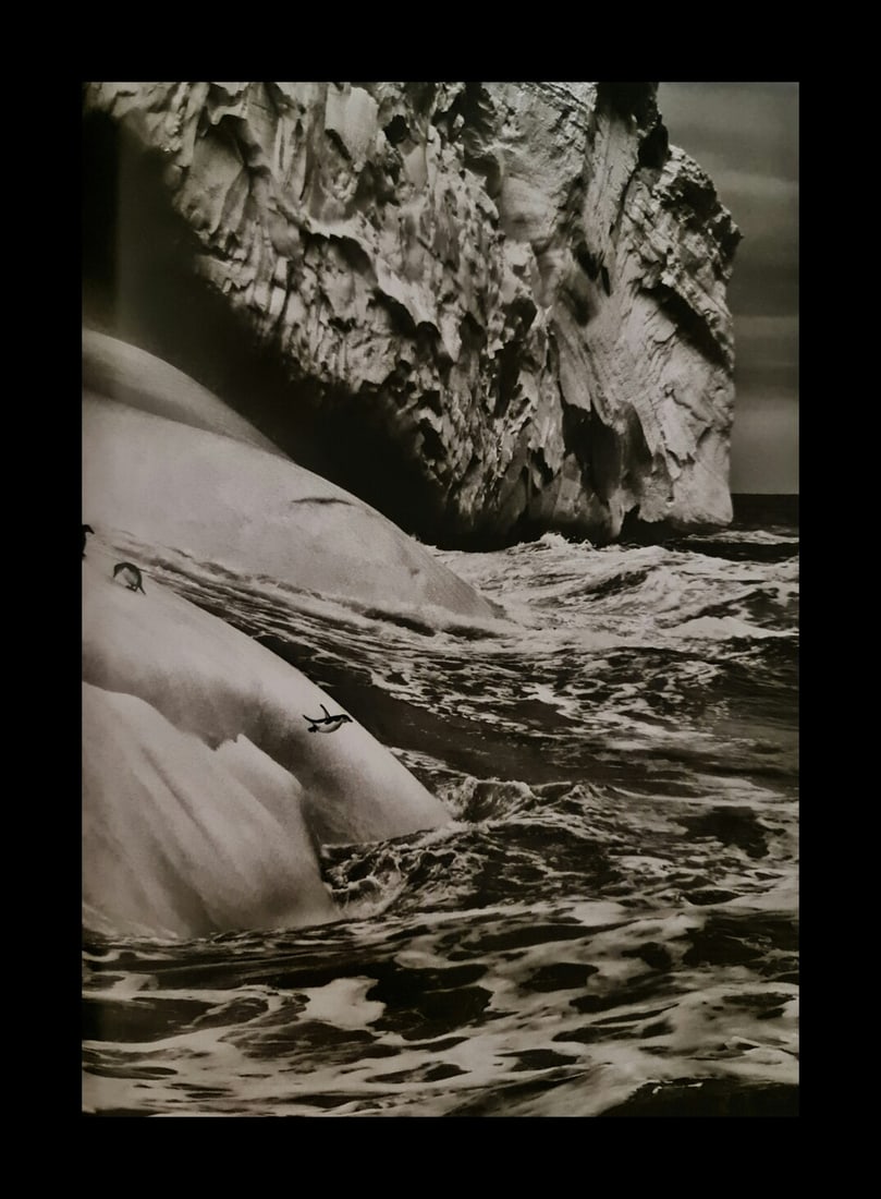 Sebastian Salgado, Chinstrap penguins on an iceberg, South Sandwich Islands, 2009: Photographer: Sebastiao Ribeiro Salgado Junior is a Brazilian social documentary photographer and photojournalist. He has traveled to over 120 countries for his photographic projects. Most of these ha