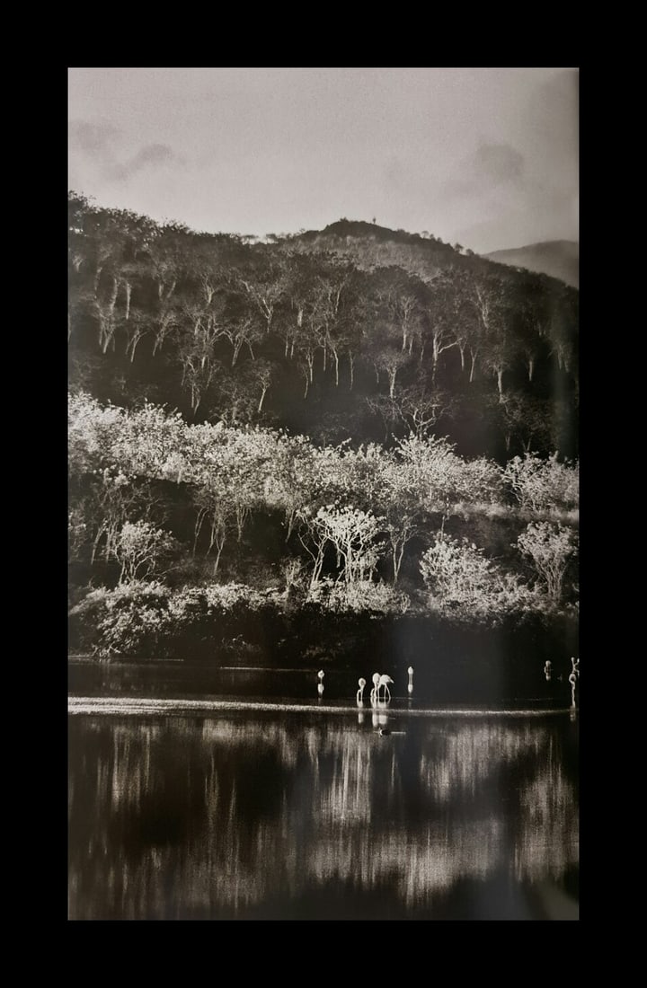 Sebastian Salgado, Falmingos at Punta Cormorant, Galapagos, Ecuador, 2004: Photographer: Sebastiao Ribeiro Salgado Junior is a Brazilian social documentary photographer and photojournalist. He has traveled to over 120 countries for his photographic projects. Most of these ha