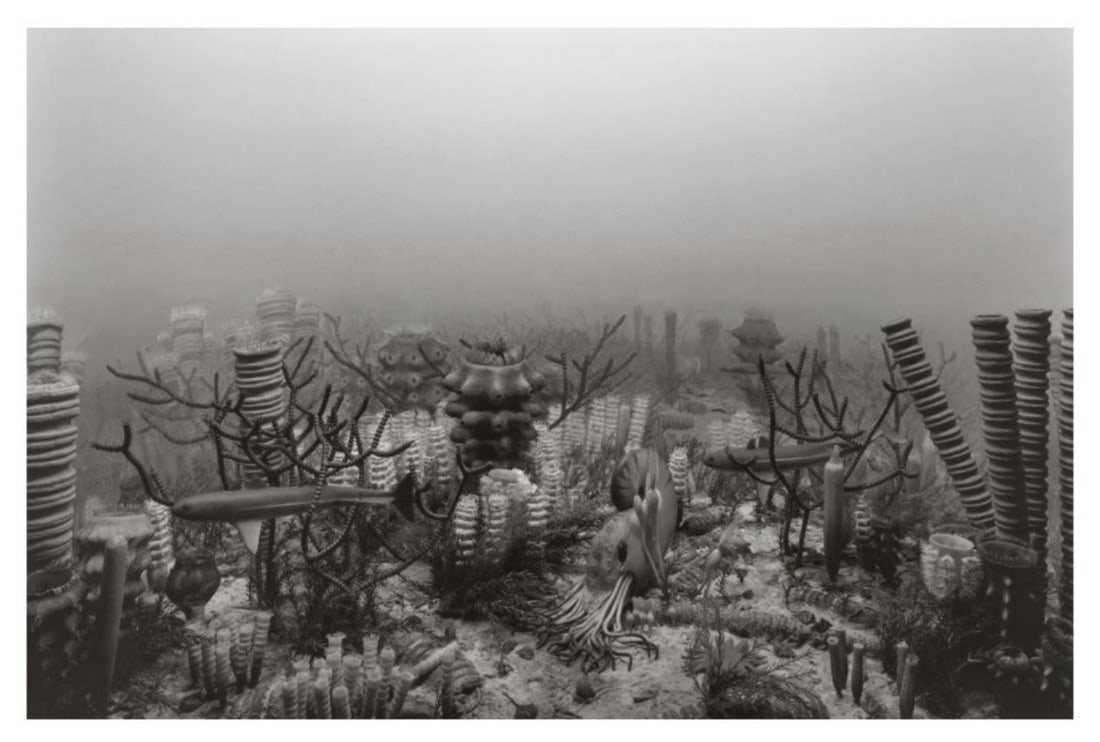 Hiroshi Sugimoto, Permian Period, 1992, Limited Edition Of 360: Photographer: Hiroshi Sugimoto is a contemporary Japanese photographer whose esoteric practice explores memory and time. Using the intrinsic quality of long exposure photography, the artist provides i