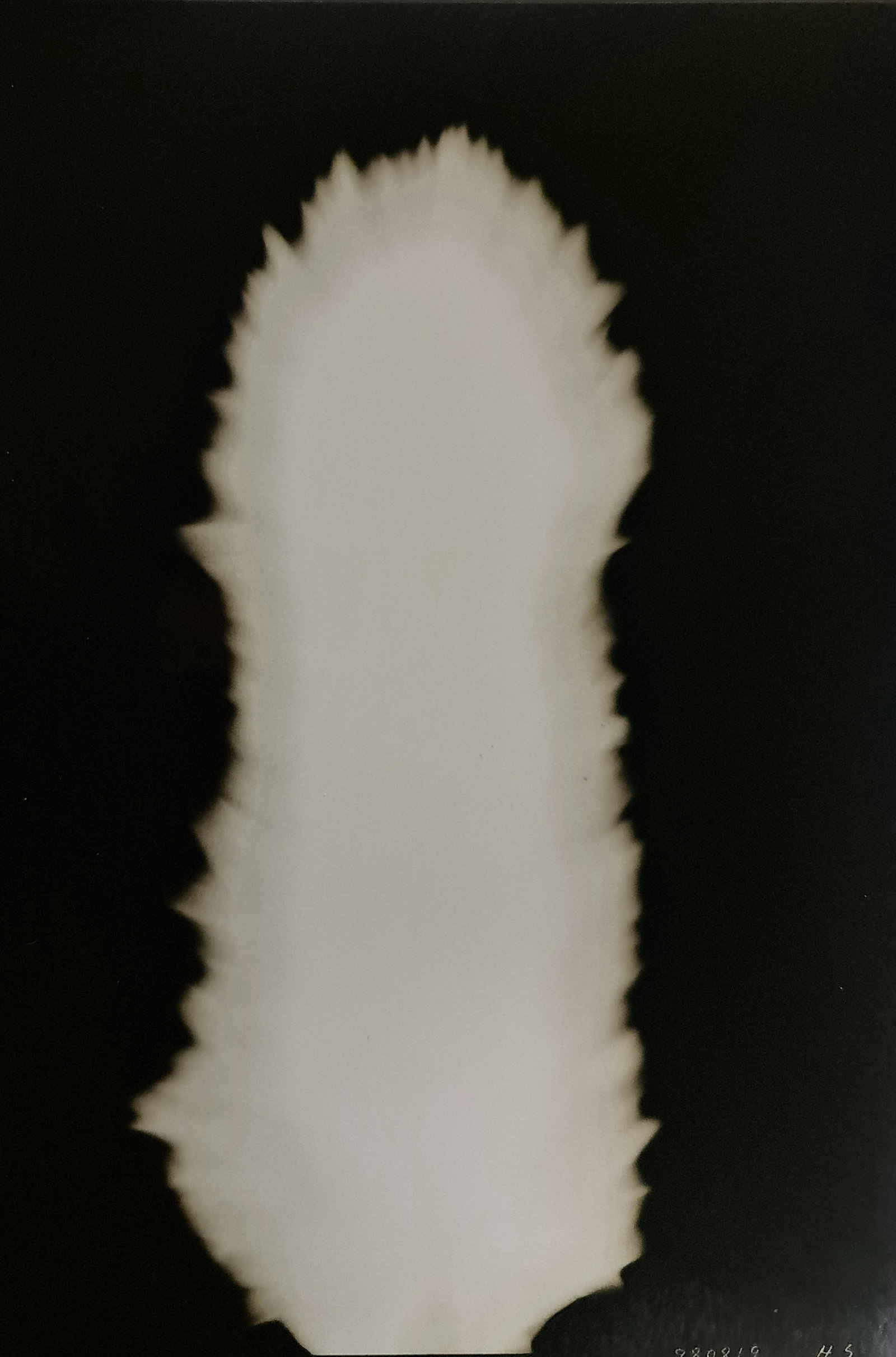Hiroshi Sugimoto, In Praise of shadows, 980819: Artist Name: Hiroshi Sugimoto Size: 8.5 X 6 Type:First Edition. Print Year:1999 Printer: Korinsha Press Domesticating fire marks humankind's ascendancy over other species. For tens of thousands of