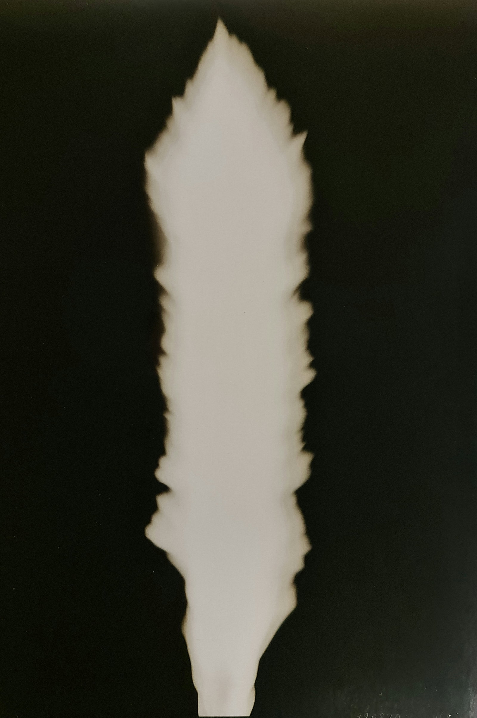Hiroshi Sugimoto, In Praise of shadows, 980820: Artist Name: Hiroshi Sugimoto Size: 8.5 X 6 Type:First Edition. Print Year:1999 Printer: Korinsha Press Domesticating fire marks humankind's ascendancy over other species. For tens of thousands of