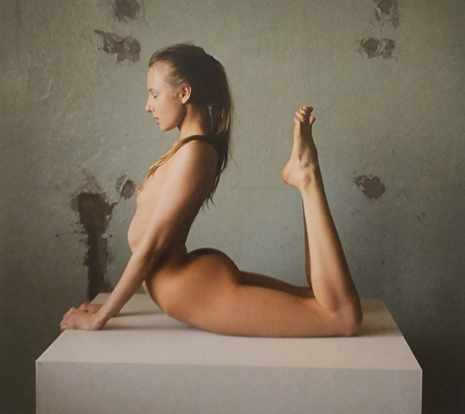 Daniel Fehr, Naked Dream Girls, 2024: Artist/Photographer: Daniel Fehr Title/Subject: Naked Dream Girls Type: Photogravure/Heliogravure. Date Of Print: 2024 Paper: Medium weight, satin/matte finish. Print Origin: Germany Approximate Image