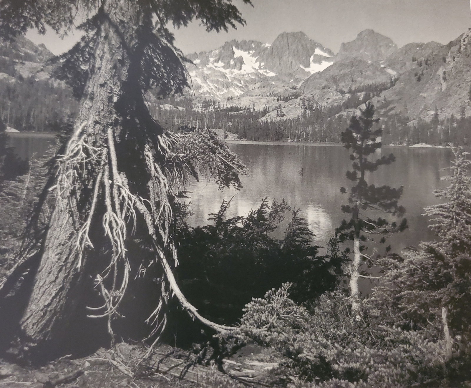 Ansel Adams, Shadow Lake, Mount Ritter and Banner Peak, SIerra Nevada, California, 1929: Photographer: Ansel Adams (American, 1902 - 1984) - Internationally renowned American photographer. One of the most influential artists in photographic history. Title: "Shadow Lake, Mount Ritter and B
