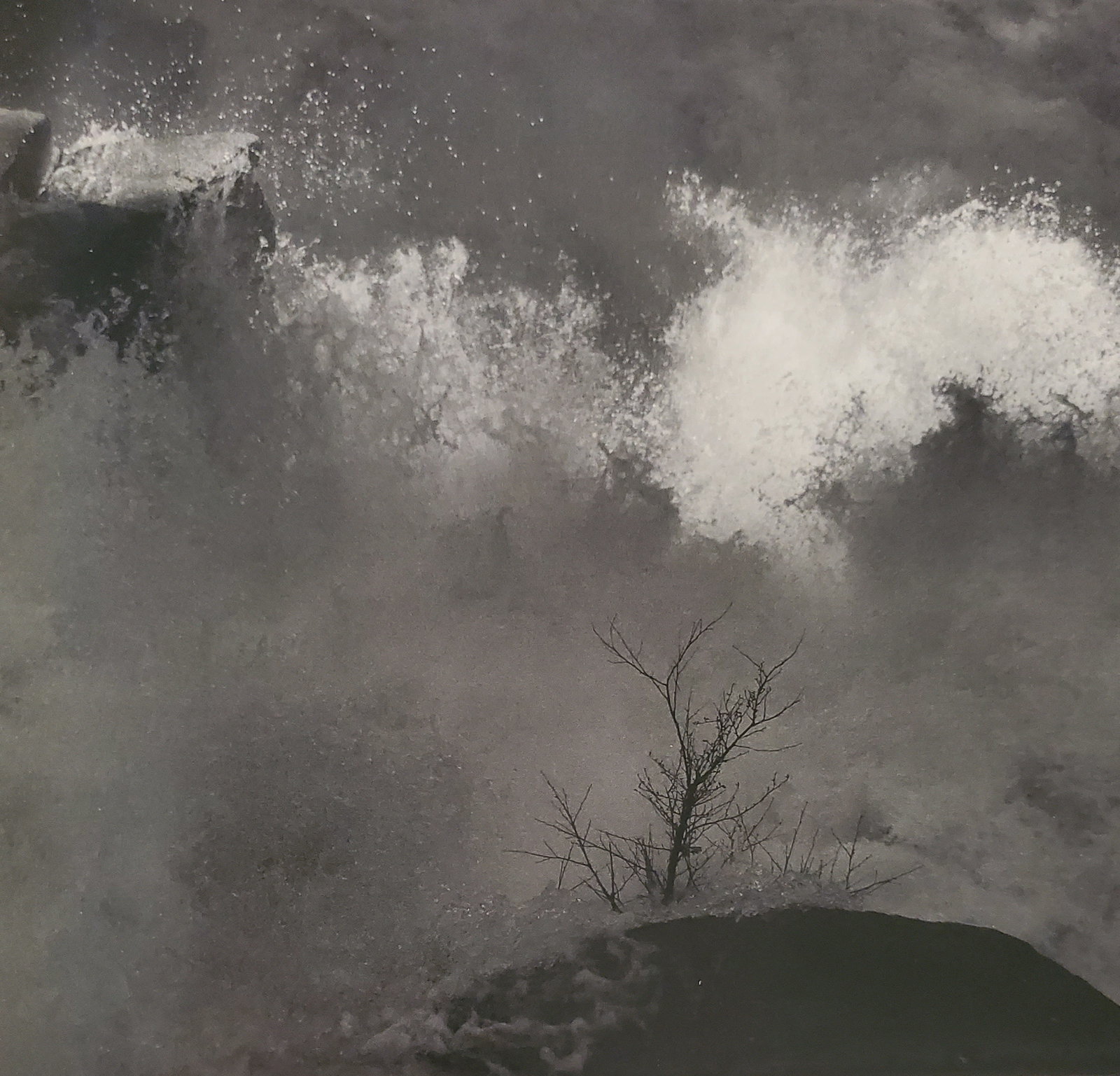 Ansel Adams, Shrub and Rapids, Merced River, Yosemite National Park, California, C. 1960: Photographer: Ansel Adams (American, 1902 - 1984) - Internationally renowned American photographer. One of the most influential artists in photographic history. Title: "Shrub and Rapids, Merced River,