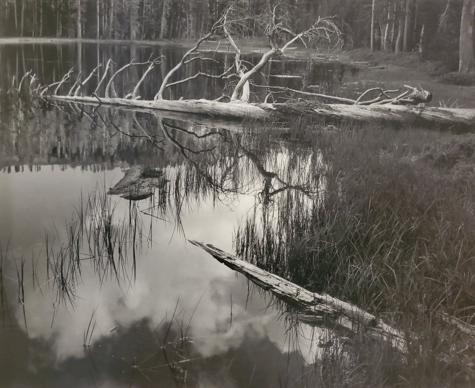 Ansel Adams, Siesta Lake, Yosemite National Park, California, C 1958 (1 of 1)