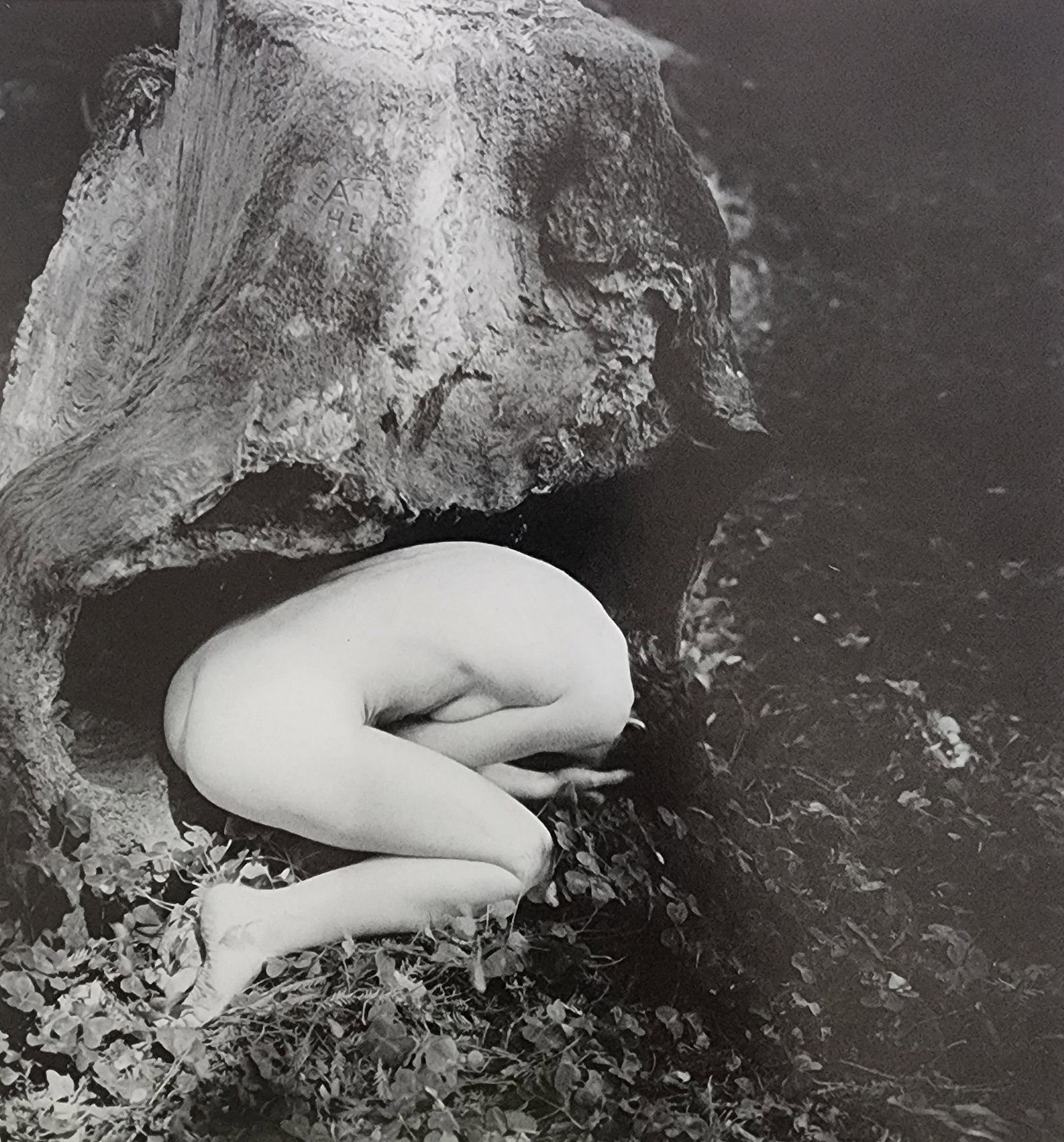 Edna Bullock, female Nude, 1995: Artist/Photographer: EDNA BULLOCK Title/Subject: Female Nude Type Of Print: Photogravure/Heliogravure.. Date Of Print: 1995 Paper: Medium weight, satin/matte finish. Print Origin: USA Approximate Imag