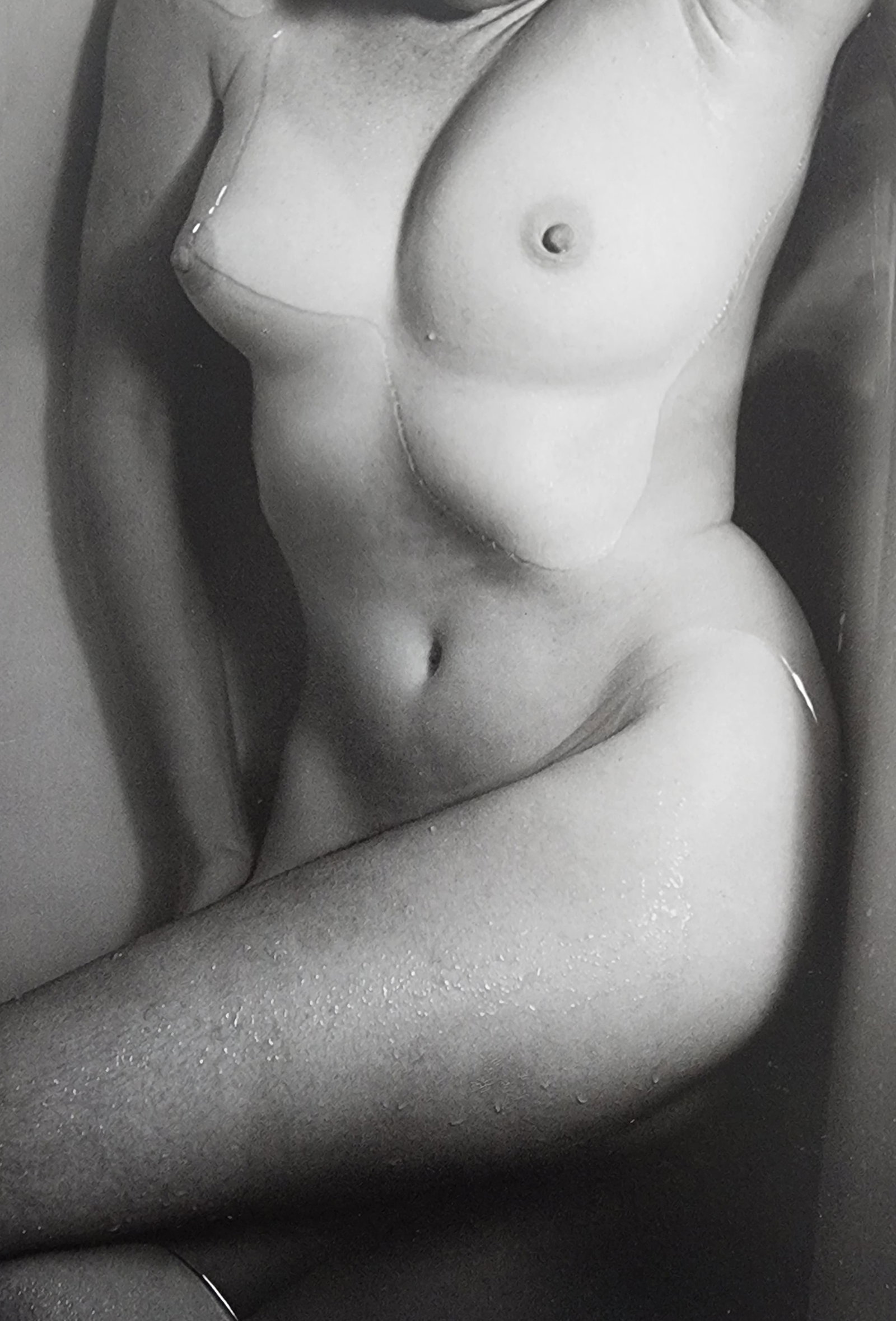 Elegant Nudes and Models, 1995: Artist/Photographer: Various Photographers Title/Subject: Elegant Nudes and Models Type Of Print: Photogravure/Heliogravure.. Date Of Print: 1995 Paper: Medium weight, satin/matte finish. Print Origin