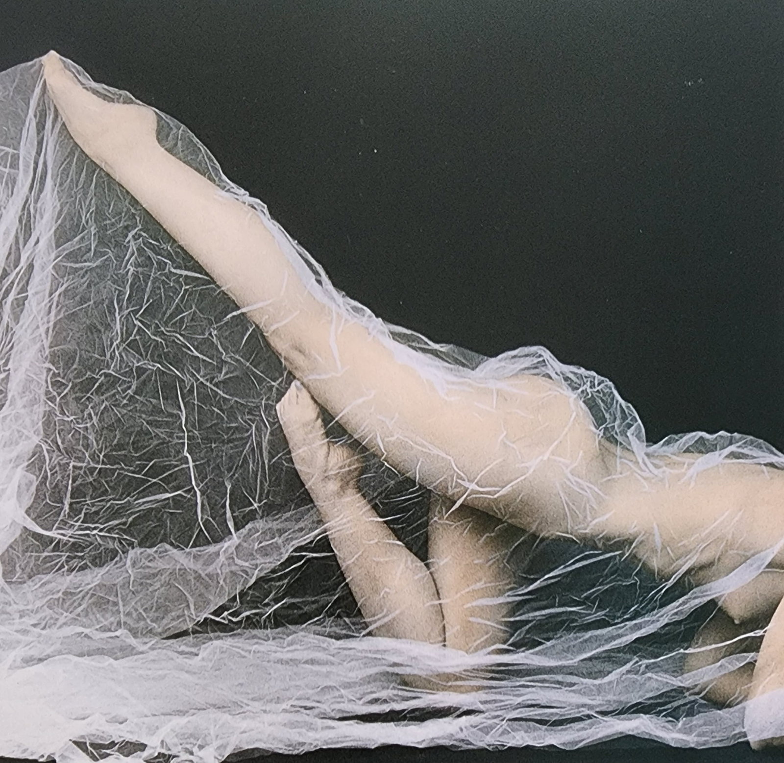 Elegant Nudes and Models, 1995: Artist/Photographer: Various Photographers Title/Subject: Elegant Nudes and Models Type Of Print: Photogravure/Heliogravure.. Date Of Print: 1995 Paper: Medium weight, satin/matte finish. Print Origin