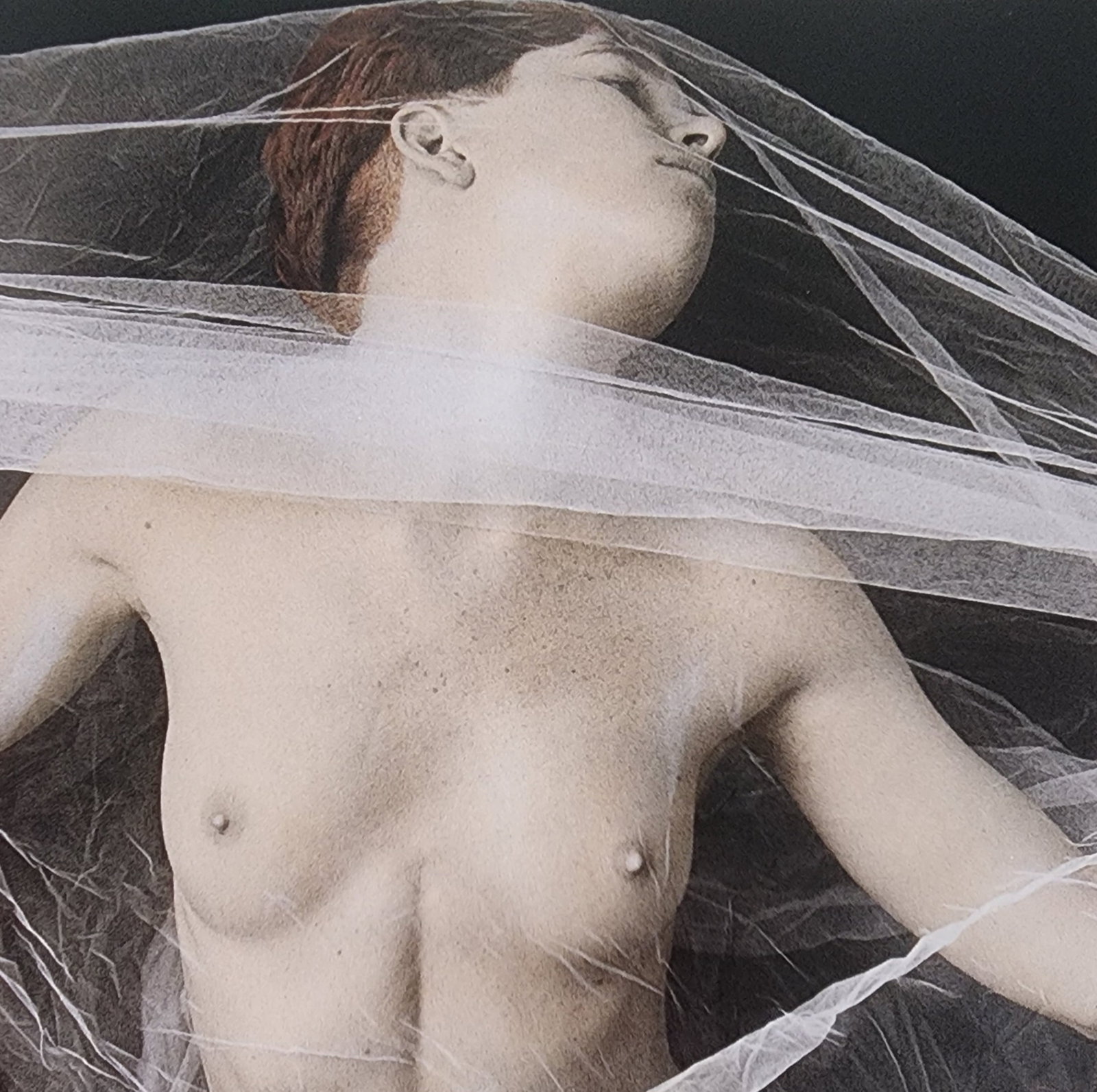 Elegant Nudes and Models, 1995: Artist/Photographer: Various Photographers Title/Subject: Elegant Nudes and Models Type Of Print: Photogravure/Heliogravure.. Date Of Print: 1995 Paper: Medium weight, satin/matte finish. Print Origin