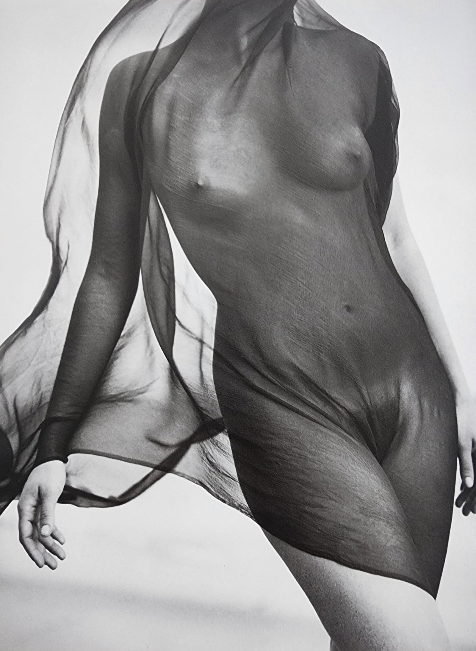 Elegant Nudes and Models, 1995: Artist/Photographer: Various Photographers Title/Subject: Elegant Nudes and Models Type Of Print: Photogravure/Heliogravure.. Date Of Print: 1995 Paper: Medium weight, satin/matte finish. Print