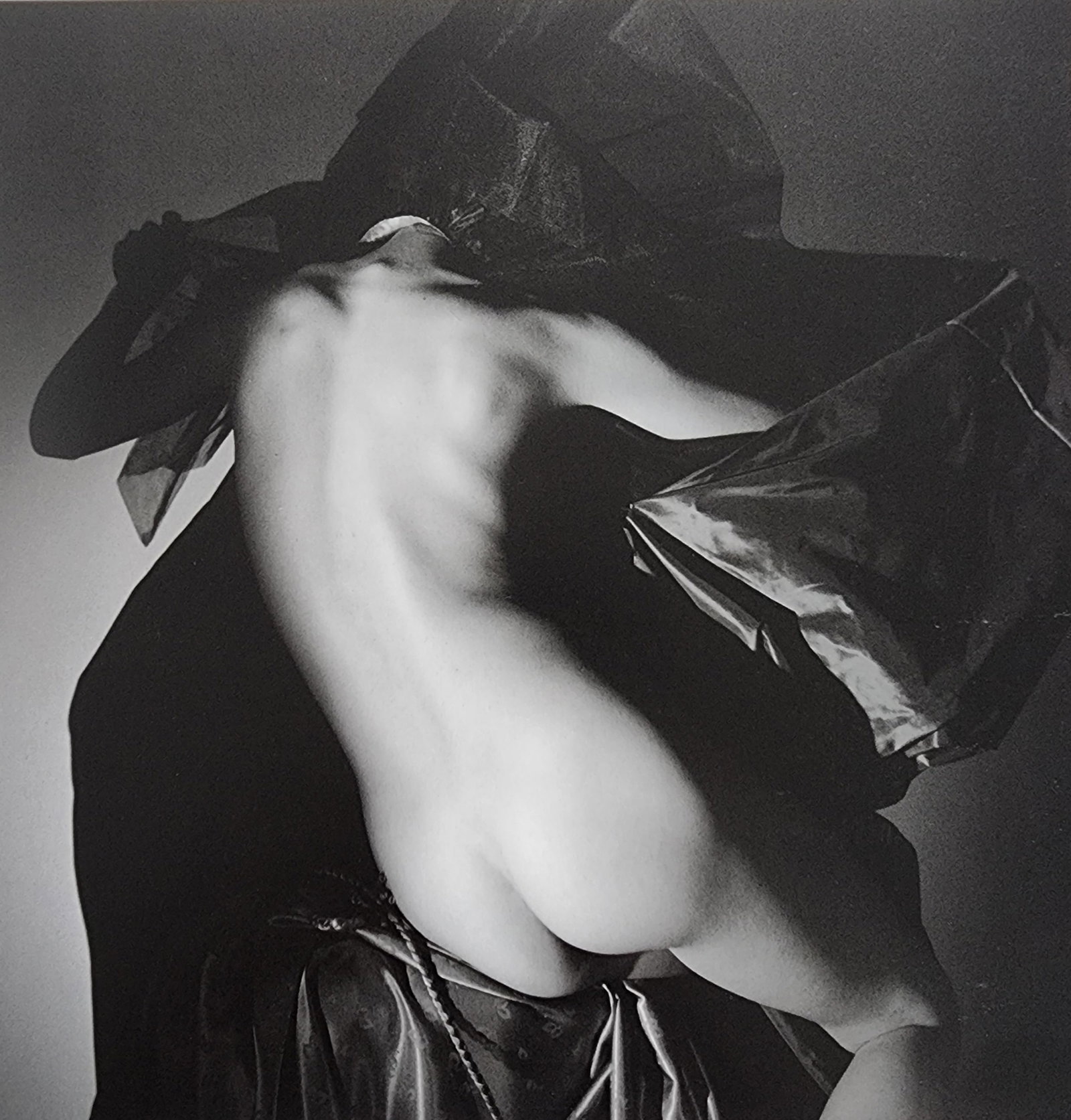 Elegant Nudes and Models, 1995 (1 of 1)