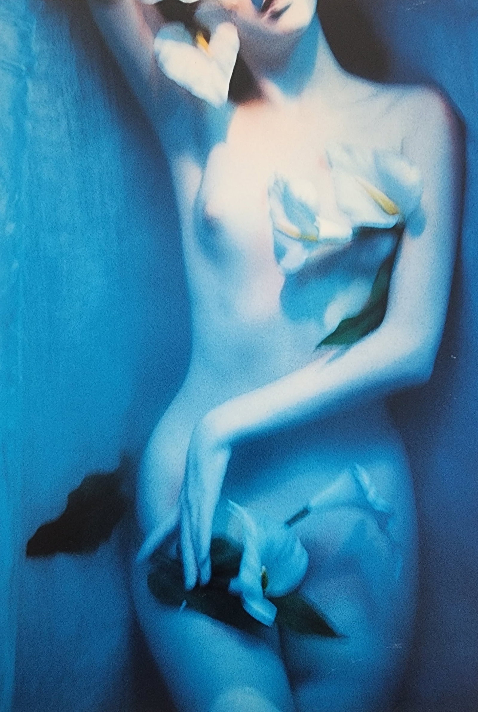 Elegant Nudes and Models, 1995: Artist/Photographer: Various Photographers Title/Subject: Elegant Nudes and Models Type Of Print: Photogravure/Heliogravure.. Date Of Print: 1995 Paper: Medium weight, satin/matte finish. Print Origin