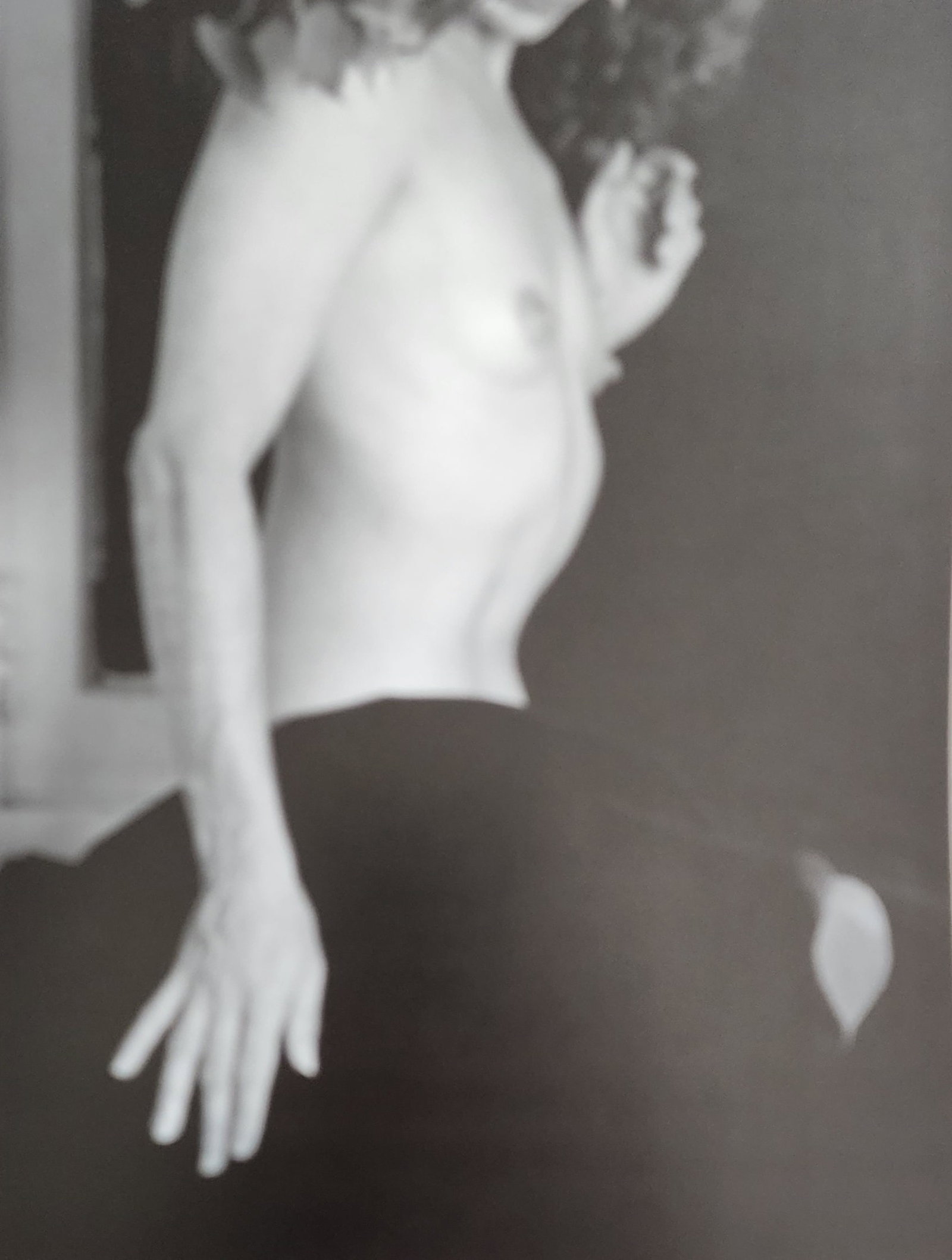 Hisaka Kojima, L.A Nude, 1993: Artist/Photographer: Hisaka Kojima Title/Subject: LA Nude Type Of Print: Photogravure/Heliogravure.. Date Of Print: 1993 Paper: Medium weight, satin/matte finish. Print Origin: Japan Approximate Image