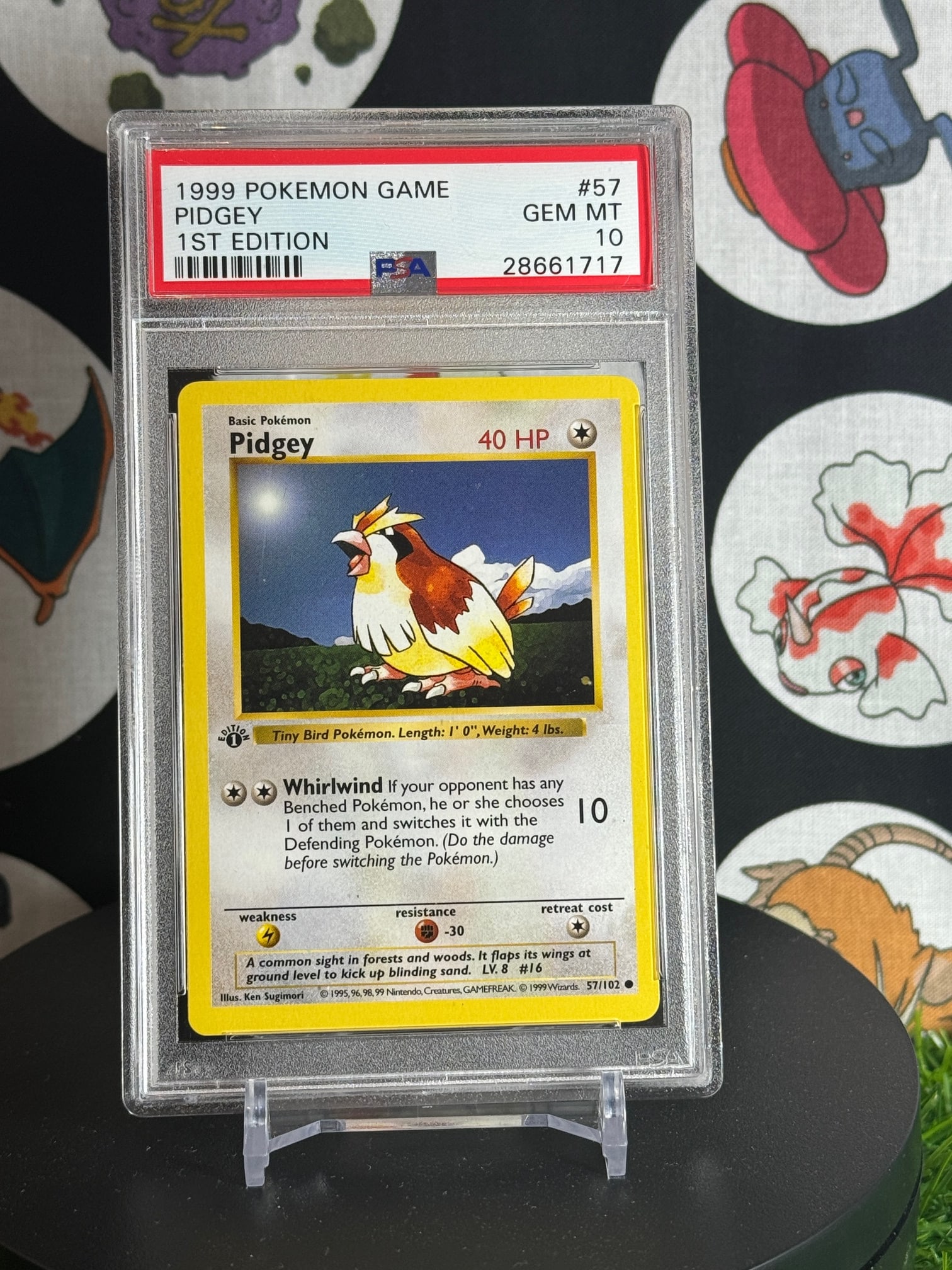 VINTAGE POKEMON GRAIL PSA 10 1ST EDITION PIDGEY 1999!!! (1 of 2)