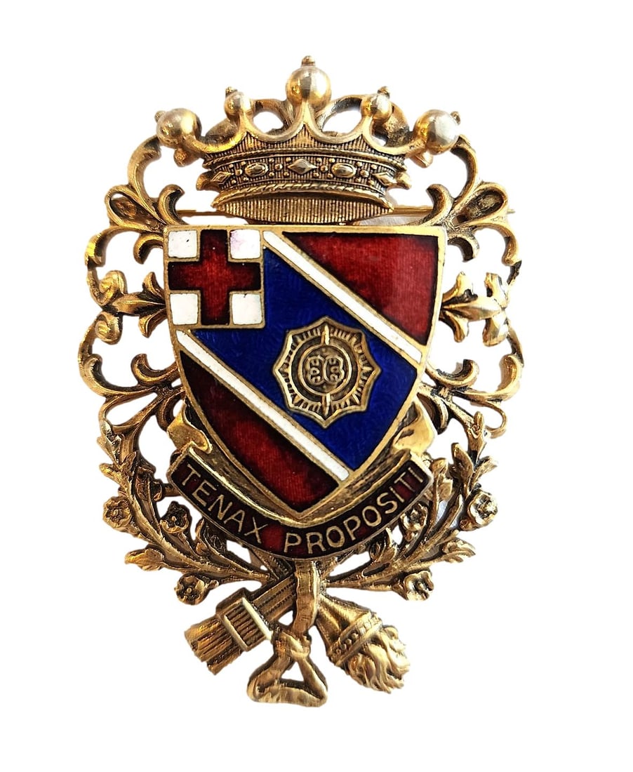 Vintage Brooch/Pendant - 'TENAX PROPOSITI" - Meaning determination and persistence in pursuing: 2 3/8". Top features a crown and the bottom has a Torch and Arrows. Gold Tone Metal and Red, White, and Blue Enamal on the shield. No Maker's Mark