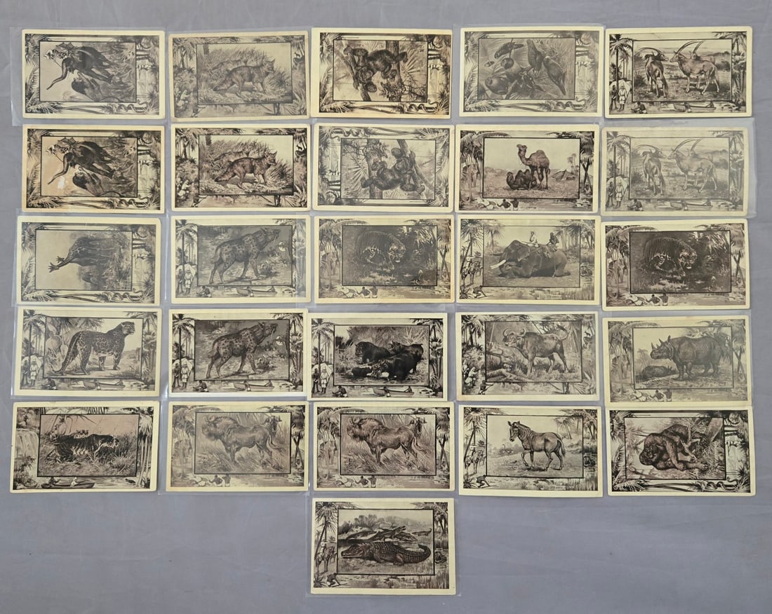 1909 Teddy Roosevelt's Wilds of Africa Series Animal Postcard Lot (1 of 1)