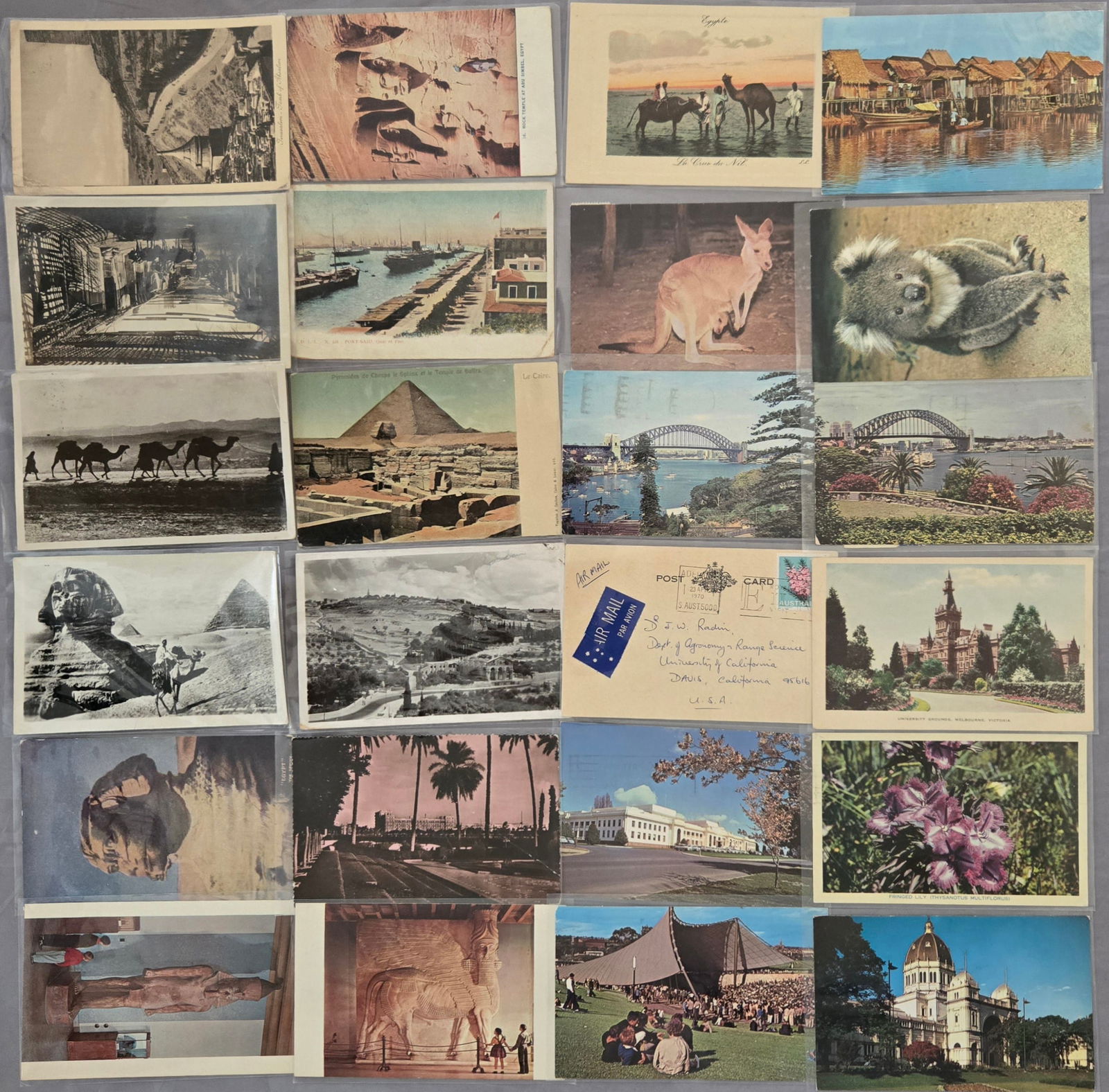 Vintage World Postcard: Asia / Australia / Egypt Real Photo & Illustrated Lot of 50 (1 of 2)