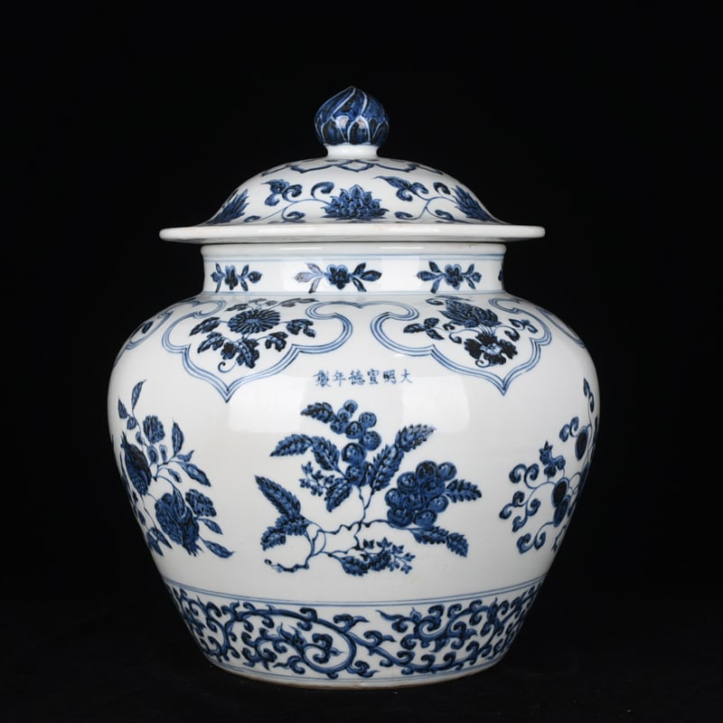 Chinese blue and white porcelain jar Ming dynasty Xuande Mark & Period (1 of 9)