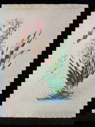 Salvador Dali, original drypoint over heliogravure, pencil signed