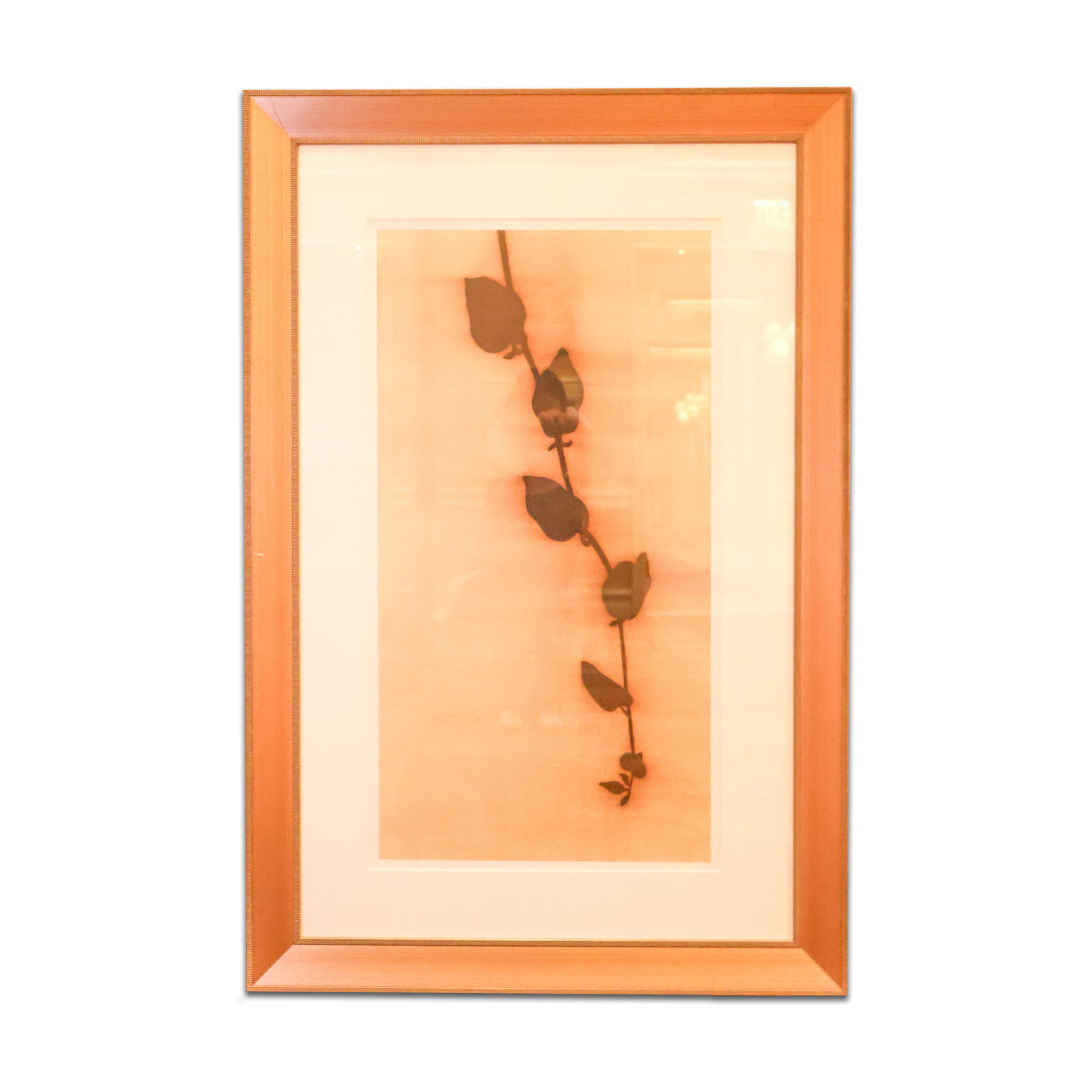 Framed Print (1 of 1)