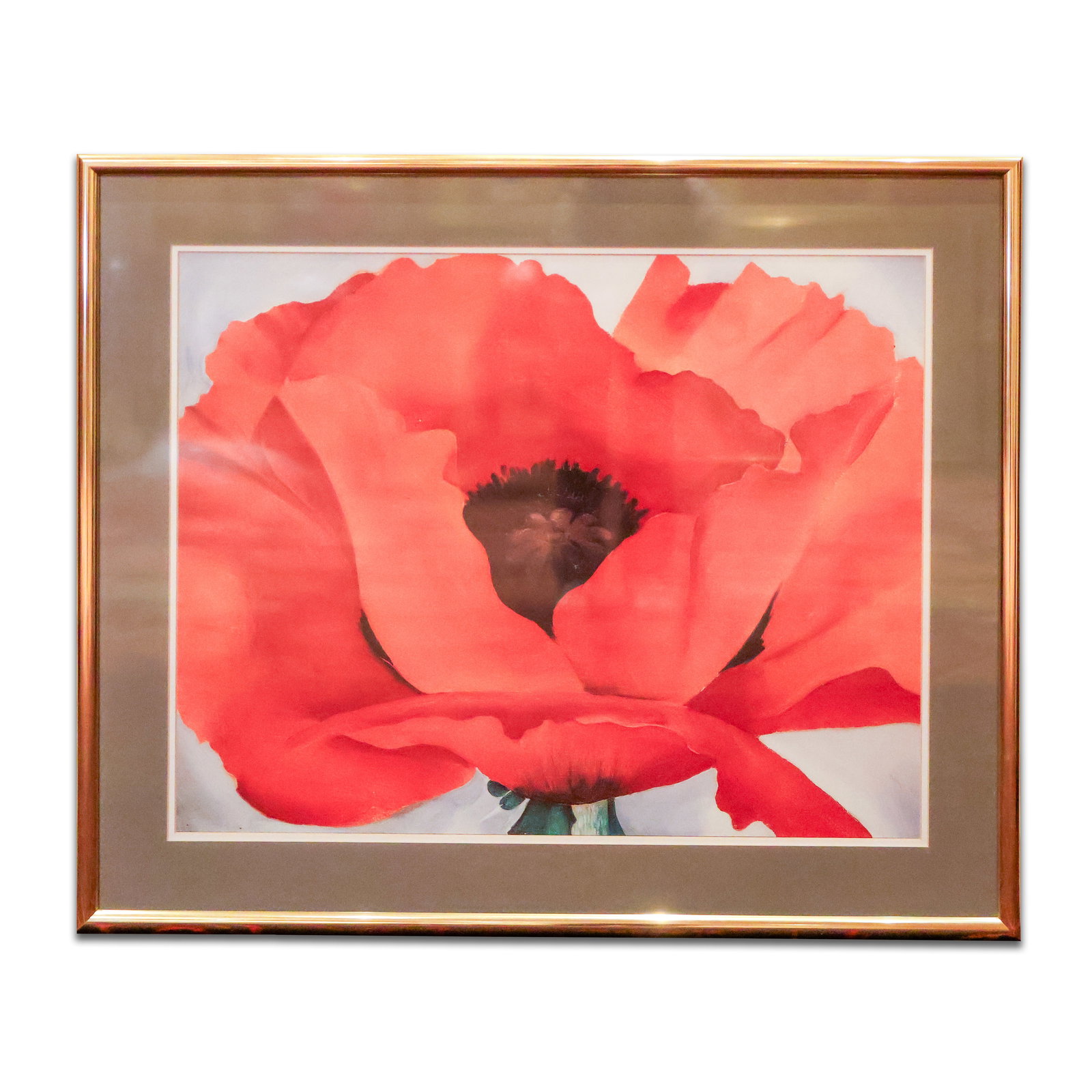 Framed Print (1 of 1)