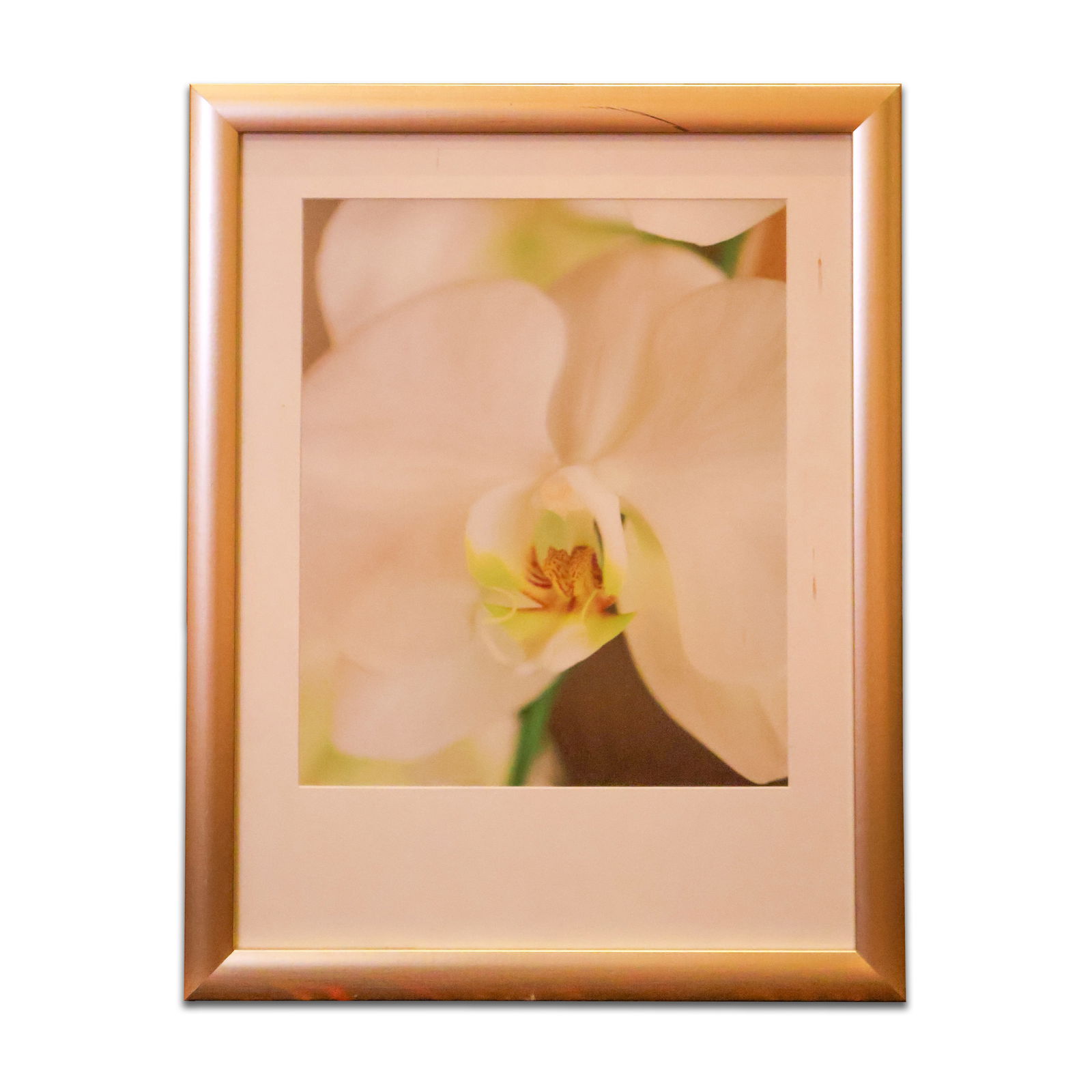 2 Framed Art (1 of 1)