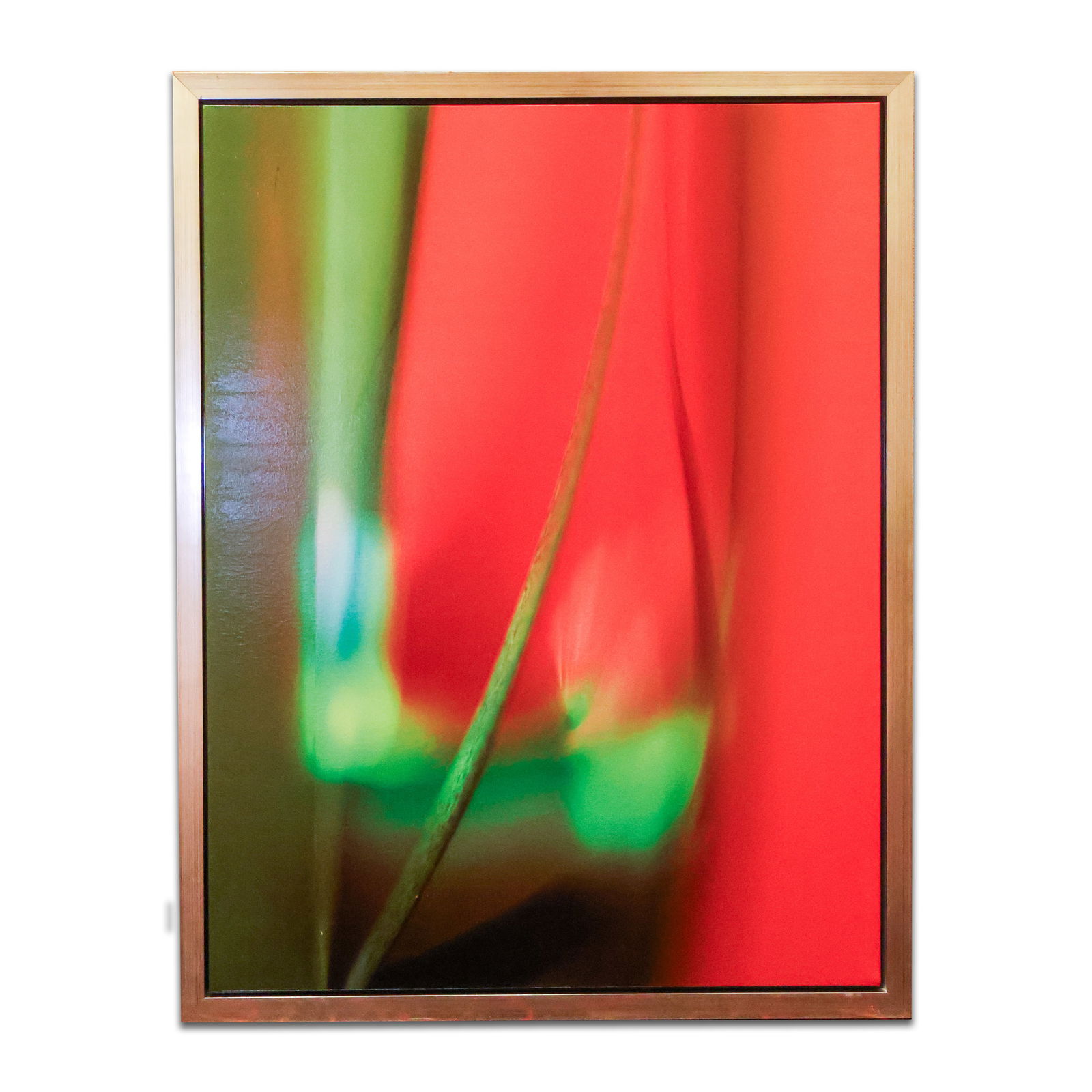 4 Framed Prints on Canvas (1 of 1)