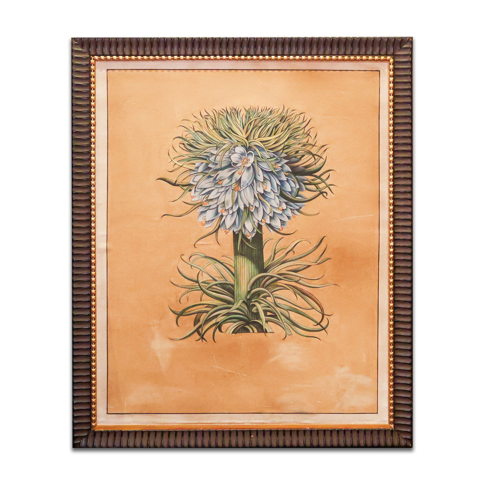 Framed Print (1 of 1)