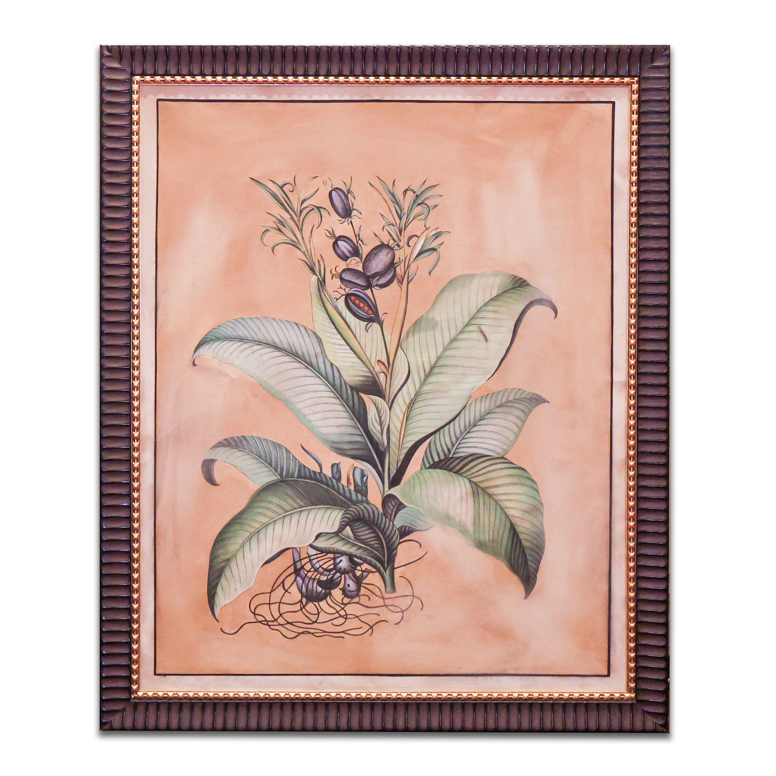 Framed Print (1 of 1)