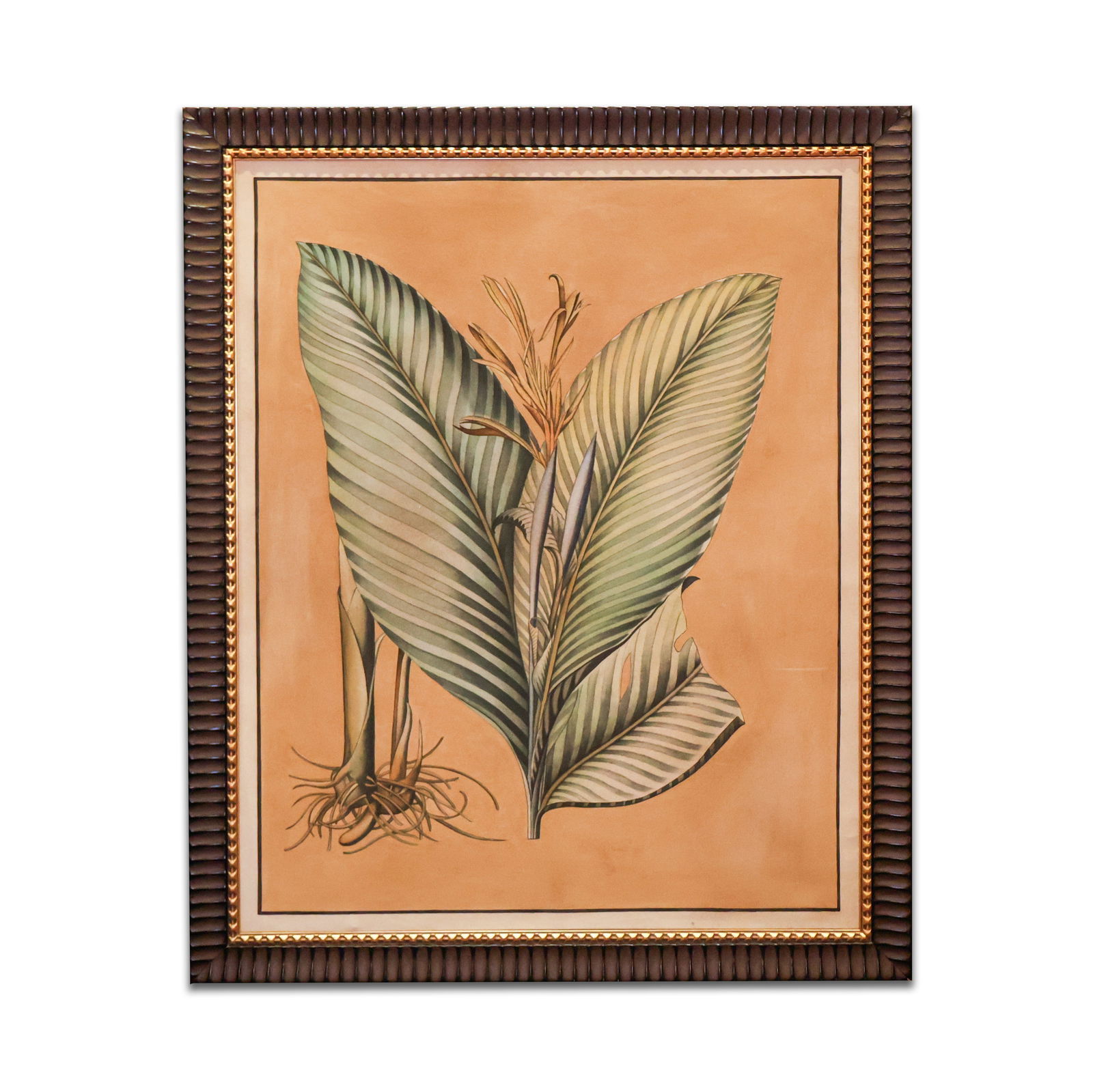 Framed Print (1 of 1)