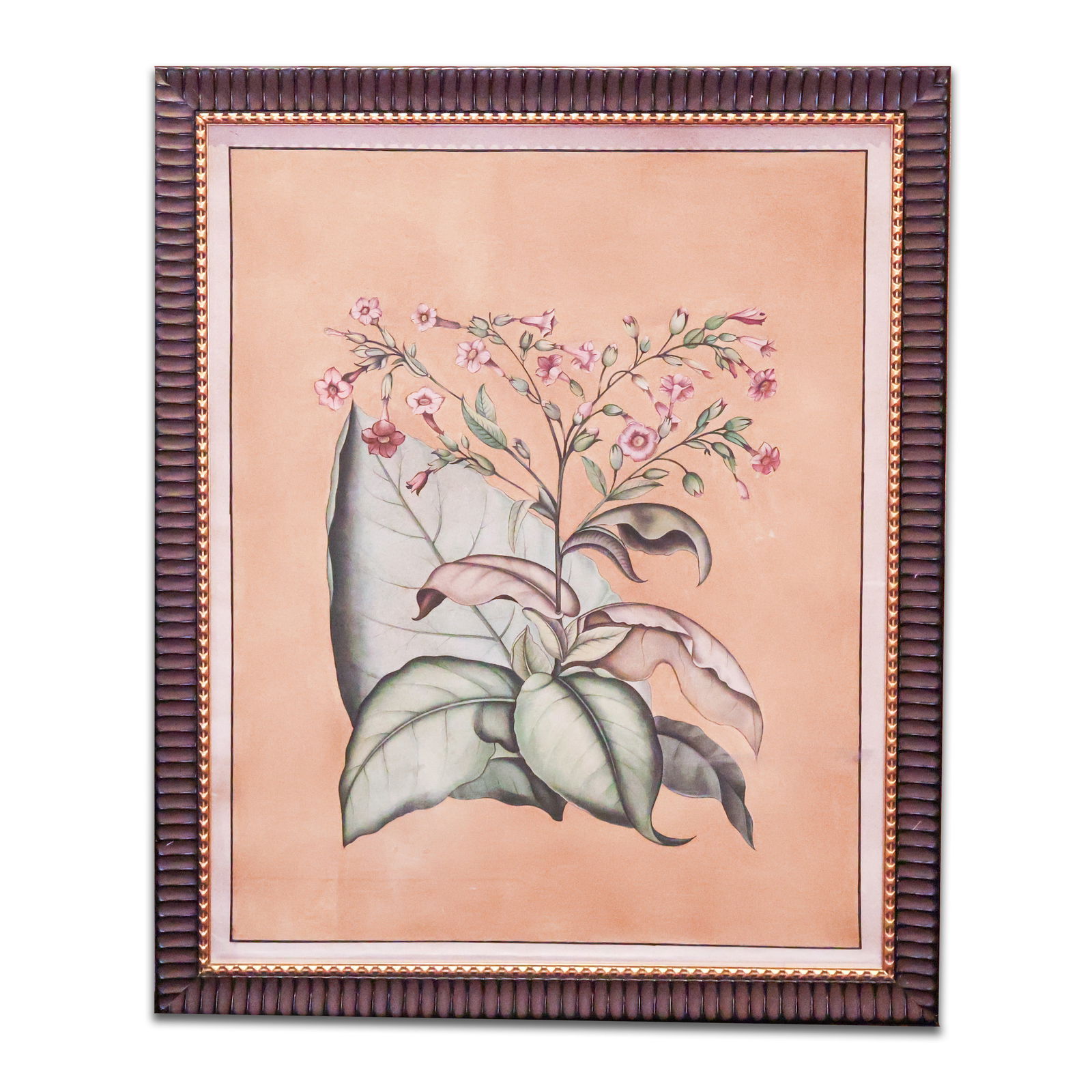 Framed Print (1 of 1)