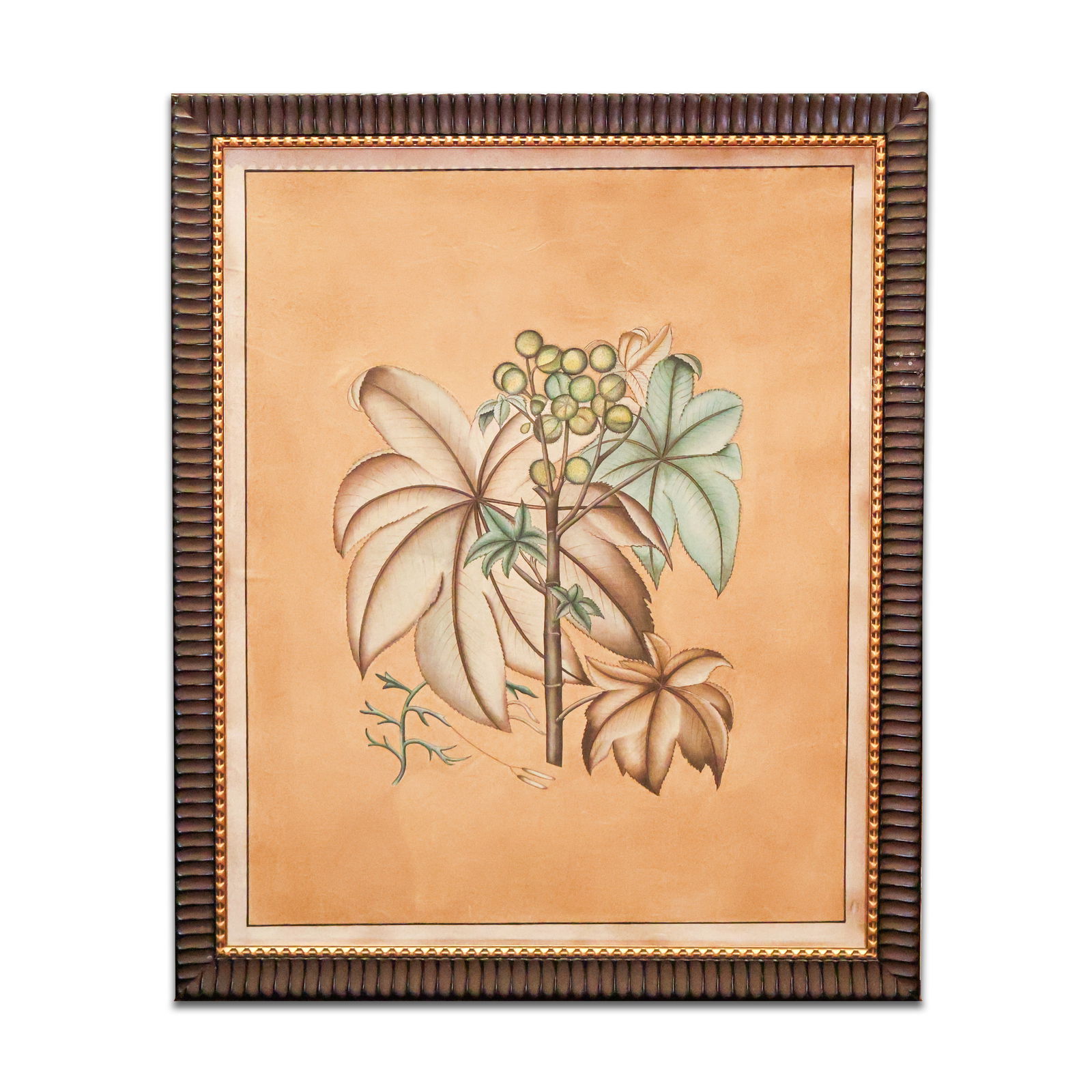 Framed Print (1 of 1)