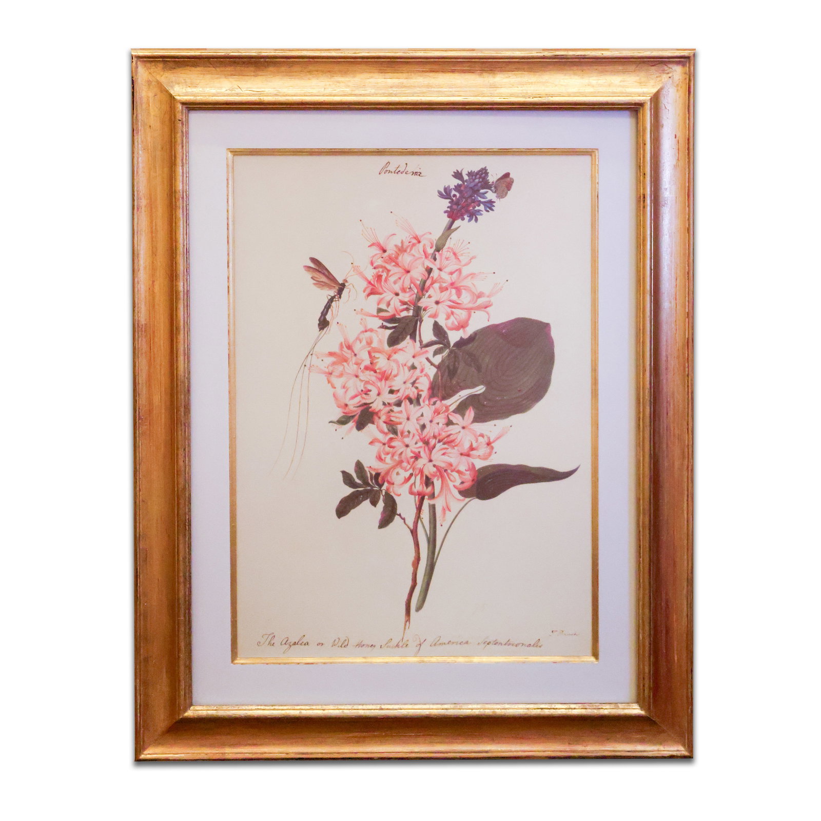 13 Framed Prints (1 of 4)