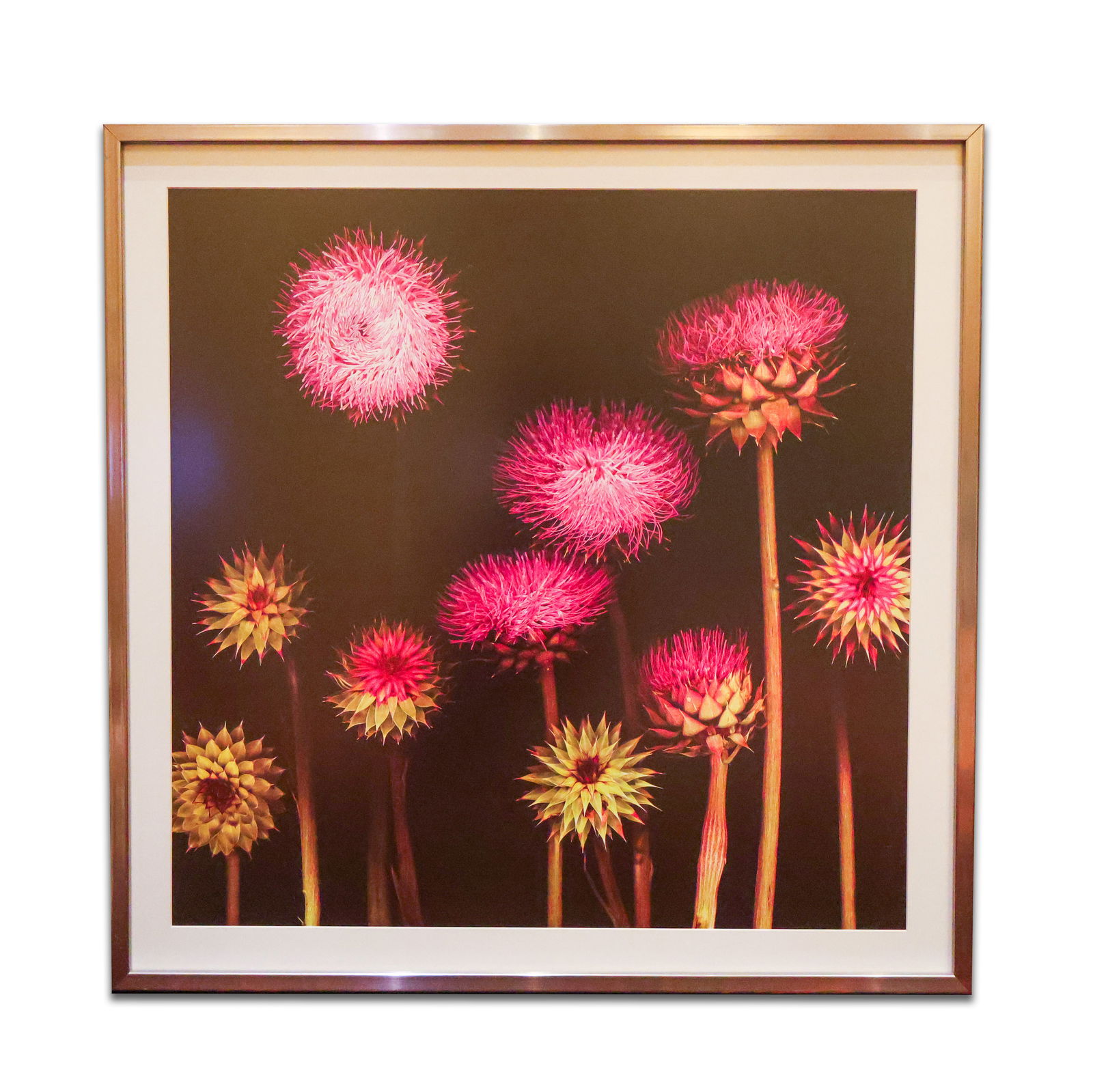 3 Framed Prints (1 of 1)