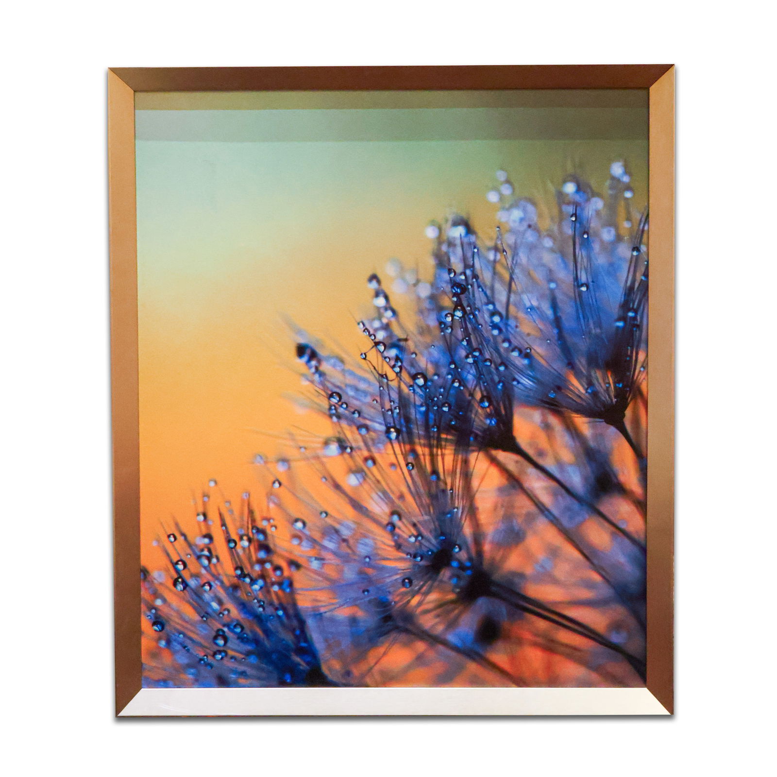 Framed Print (1 of 1)