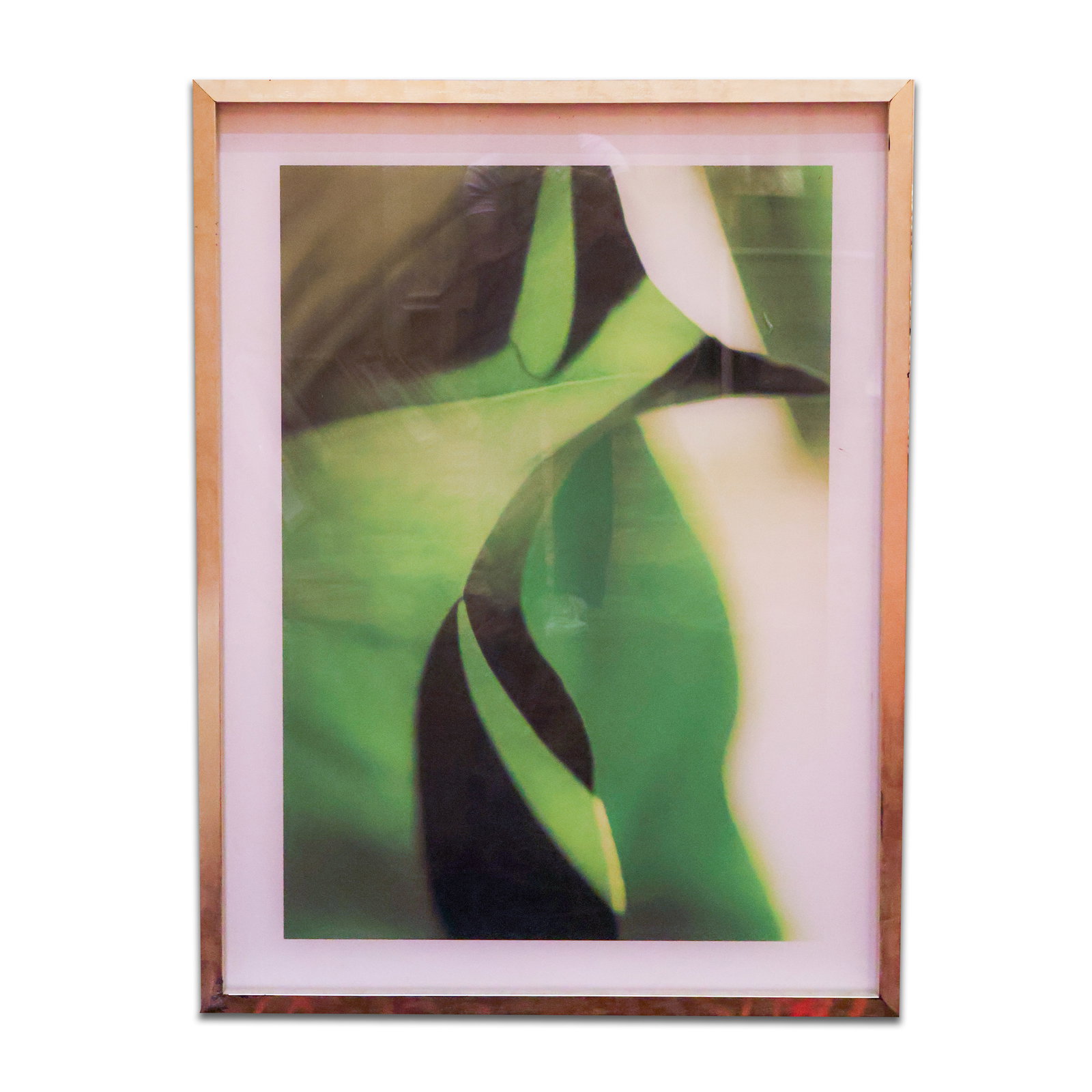 Framed Print (1 of 1)