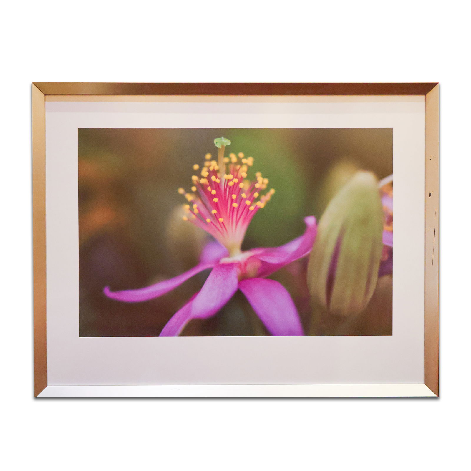 Framed Print: Digitial print on paper of a purple flower in a bronze colored frame with glass. Size 54" x 42".Total Quantity: 1.