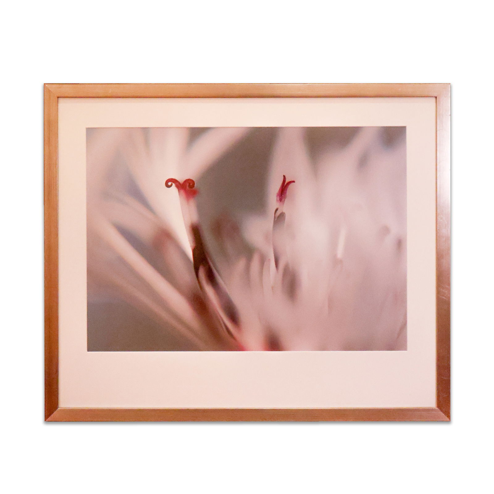 2 Framed Art Pieces (1 of 1)