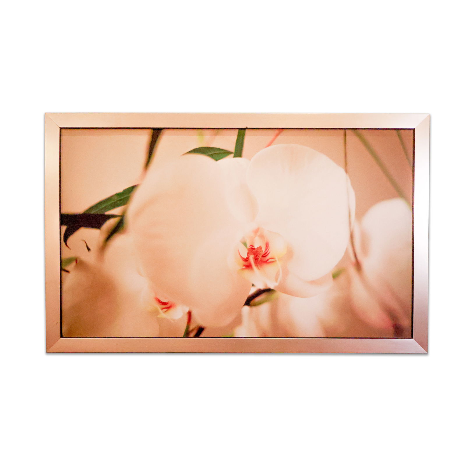 2 Framed Art Pieces (1 of 1)