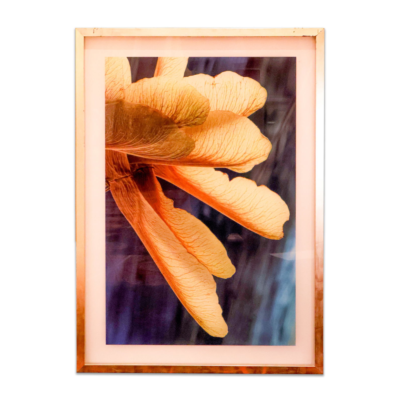 2 Framed Art Pieces (1 of 1)