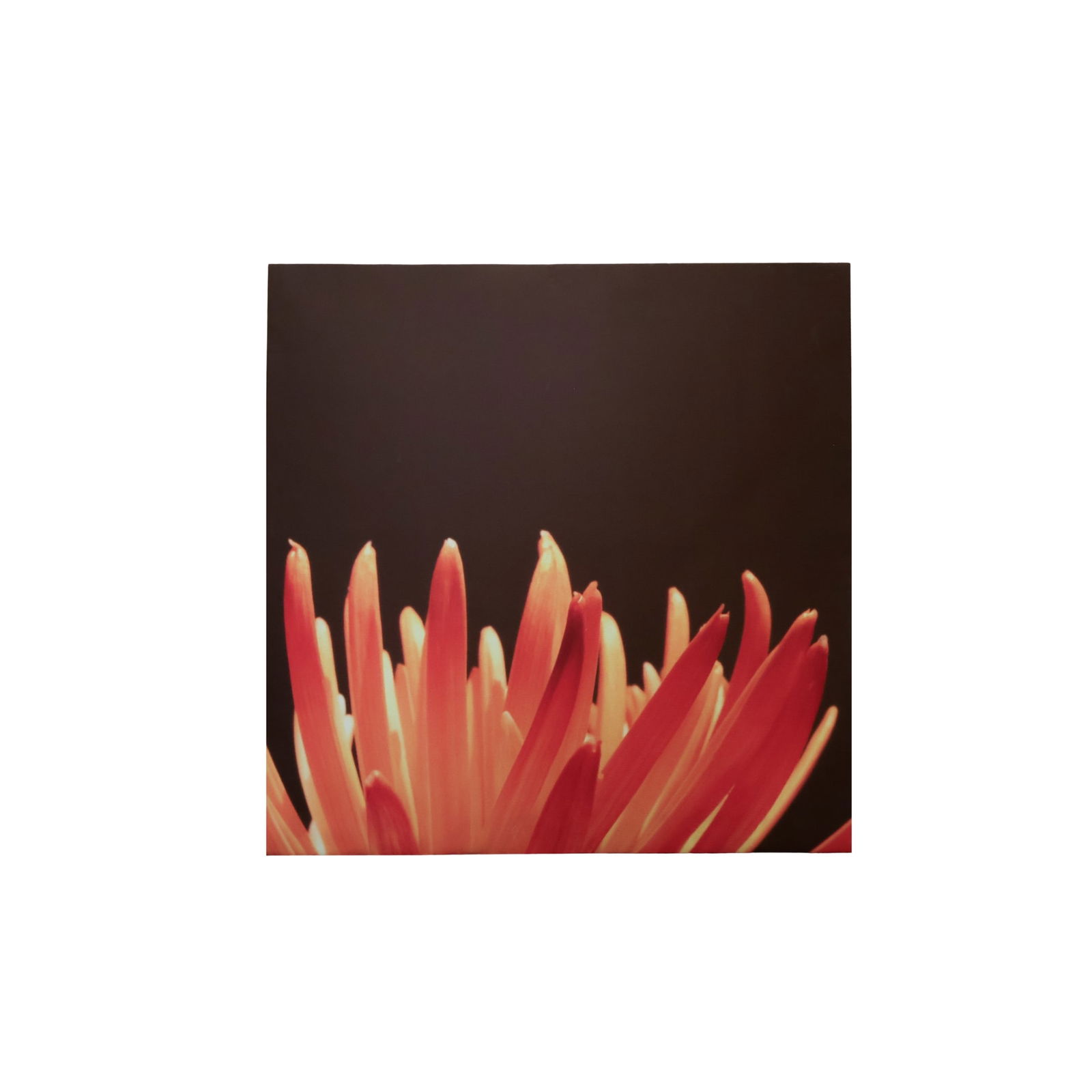 4 Framed Art Pieces (1 of 4)