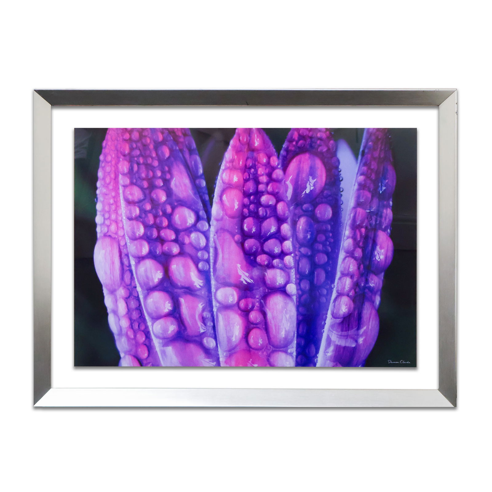 2 Framed Prints of White Flowers and Purple Plants (1 of 2)