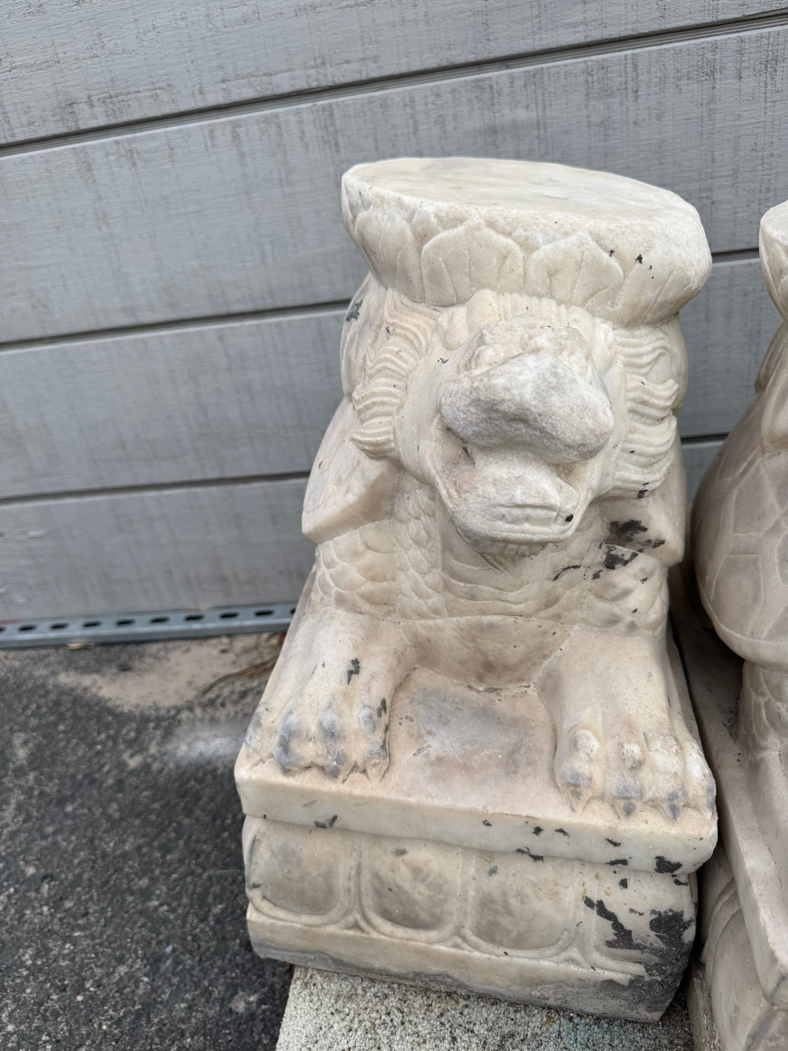 Turtle carved Marble (1 of 2)