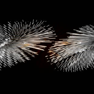 Kelly Wearstler Strada Flush Mount Chandelier in Burnished Silver Leaf: Paying homage to vibrant organic forms and sleek metal, the Kelly Wearstler Strada chandelier features delicate sculptures of radiating quills that cast a striated glow across ceilings and walls creat