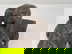 item-198039291=10